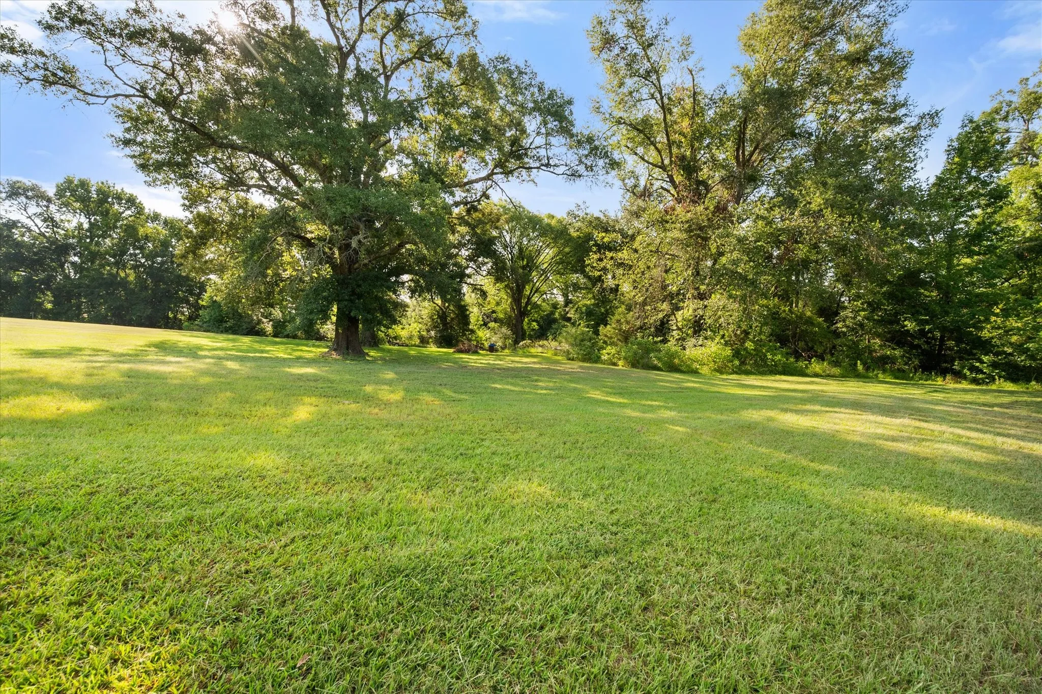 Single Family Residence For Sale in Rains County , 5568 S Fm 779, Alba, Texas 75410, 3 Bedroom, 3 Bathroom, 2 Garage spaces, 2,135 Sqft, built in 2014, mls#21315869, Real Estate Agent in Alba, Homes For Sale in Rains county, Homes For Sale in Alba, Realtor in Alba Texas, Real Estate Brokerage Independent Realty Texas, Luminita Cordes Realtor