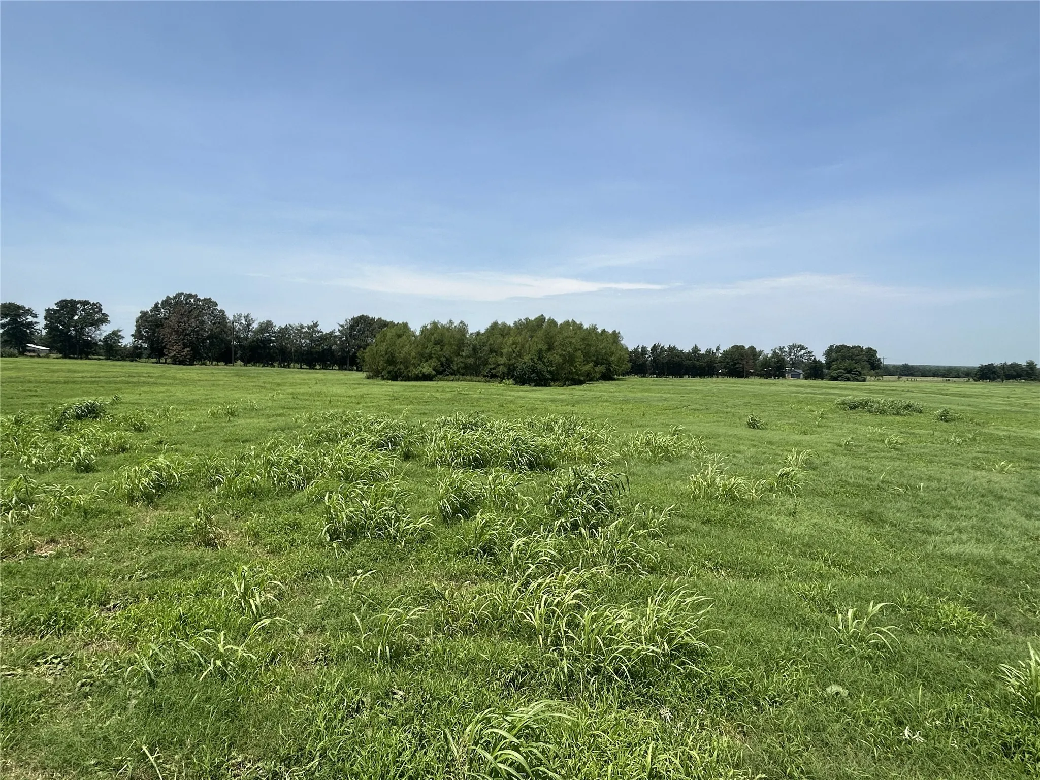 Looking across to lot 3 , lot 4 to the rt on far side