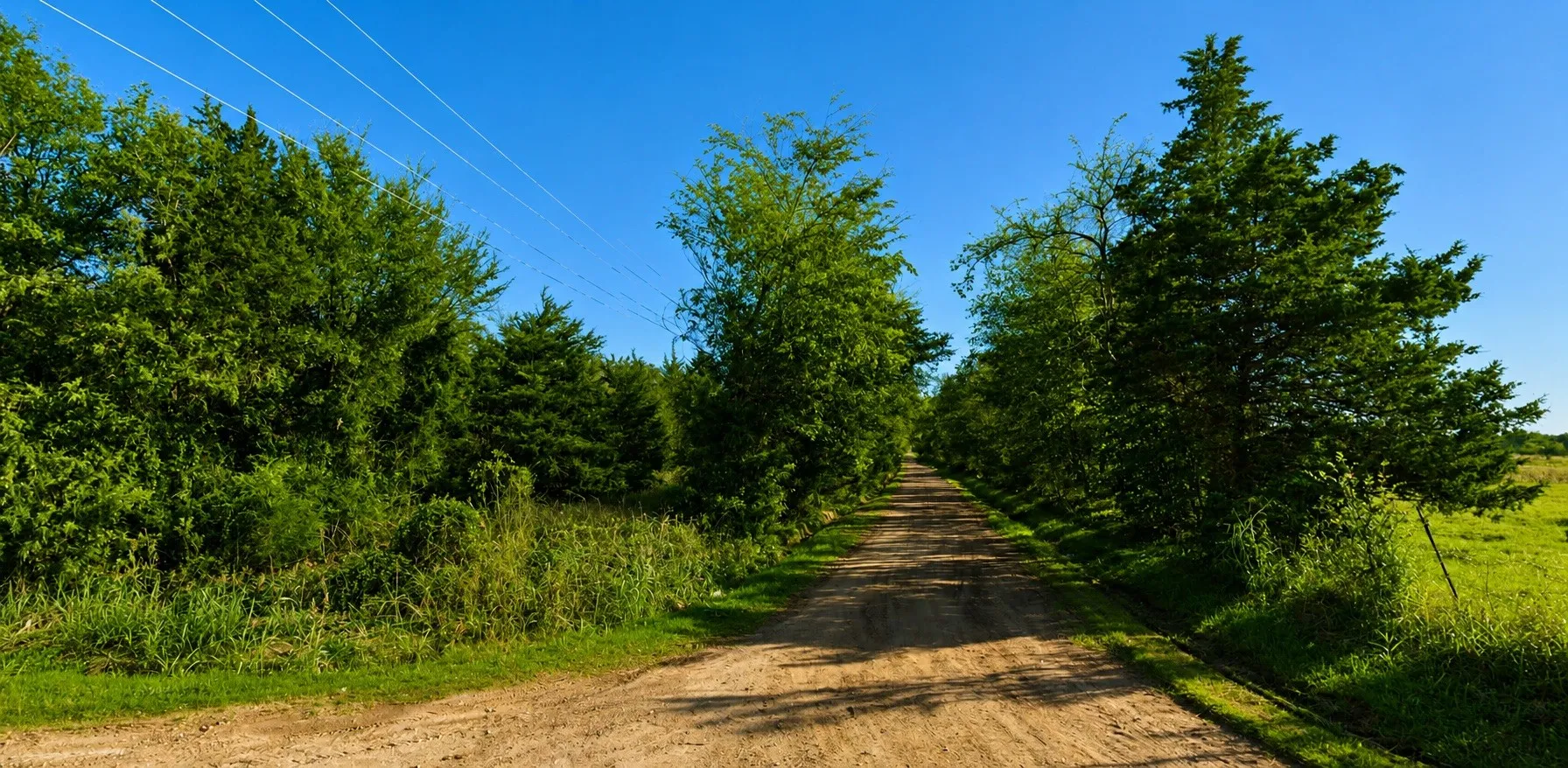 Unimproved Land For Sale in Hopkins County , Lot 4 CR 3385 S Fm 900, Saltillo, Texas 75478, 0, 0, Garage spaces, 0 Sqft, built in 0, Price $174,999, mls#21316923, Real Estate Agent in Saltillo, Homes For Sale in Hopkins county, Homes For Sale in Saltillo, Realtor in Saltillo Texas, Real Estate Brokerage Independent Realty Texas, Luminita Cordes Realtor
