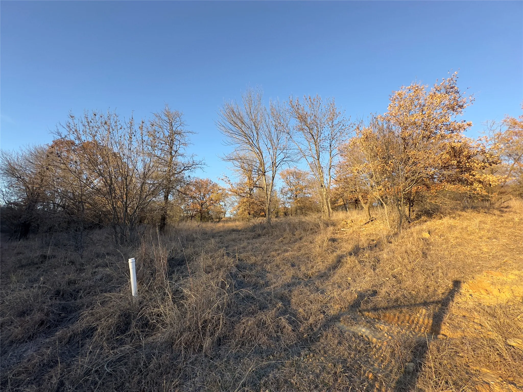 Unimproved Land For Sale in Wise County , Lot 283 Cozy Cove Court, Chico, Texas 76431, 0, 0, Garage spaces, 0 Sqft, built in 0, mls#21316893, Real Estate Agent in Chico, Homes For Sale in Wise county, Homes For Sale in Chico, Realtor in Chico Texas, Real Estate Brokerage Independent Realty Texas, Luminita Cordes Realtor