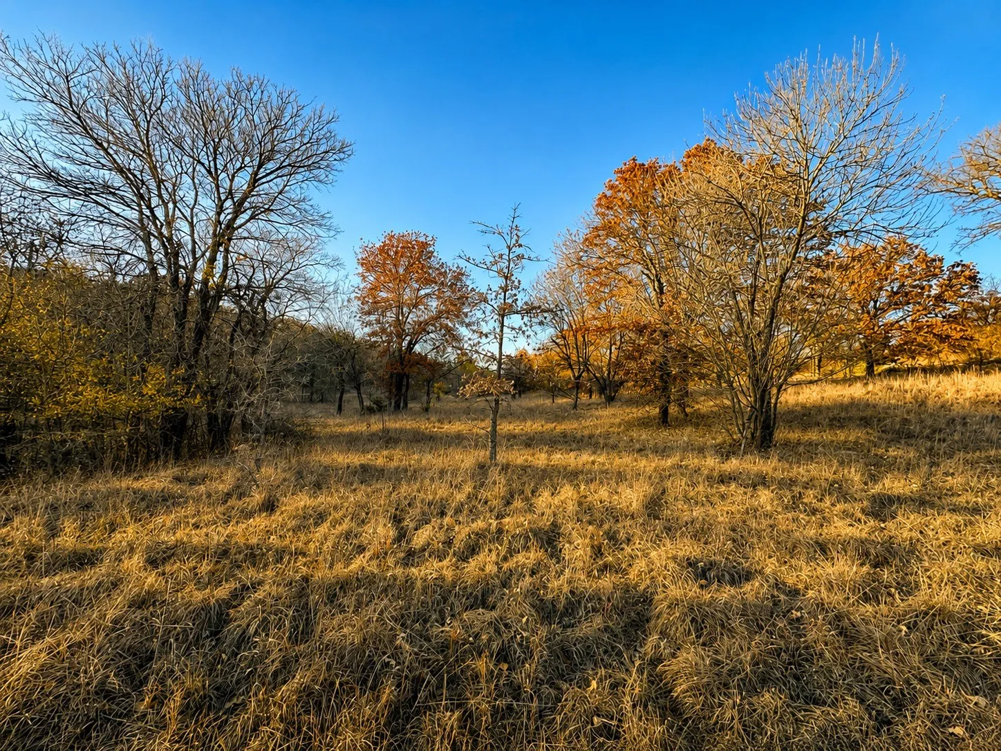 Unimproved Land For Sale in Wise County , Lot 283 Cozy Cove Court, Chico, Texas 76431, 0, 0, Garage spaces, 0 Sqft, built in 0, mls#21316893, Real Estate Agent in Chico, Homes For Sale in Wise county, Homes For Sale in Chico, Realtor in Chico Texas, Real Estate Brokerage Independent Realty Texas, Luminita Cordes Realtor