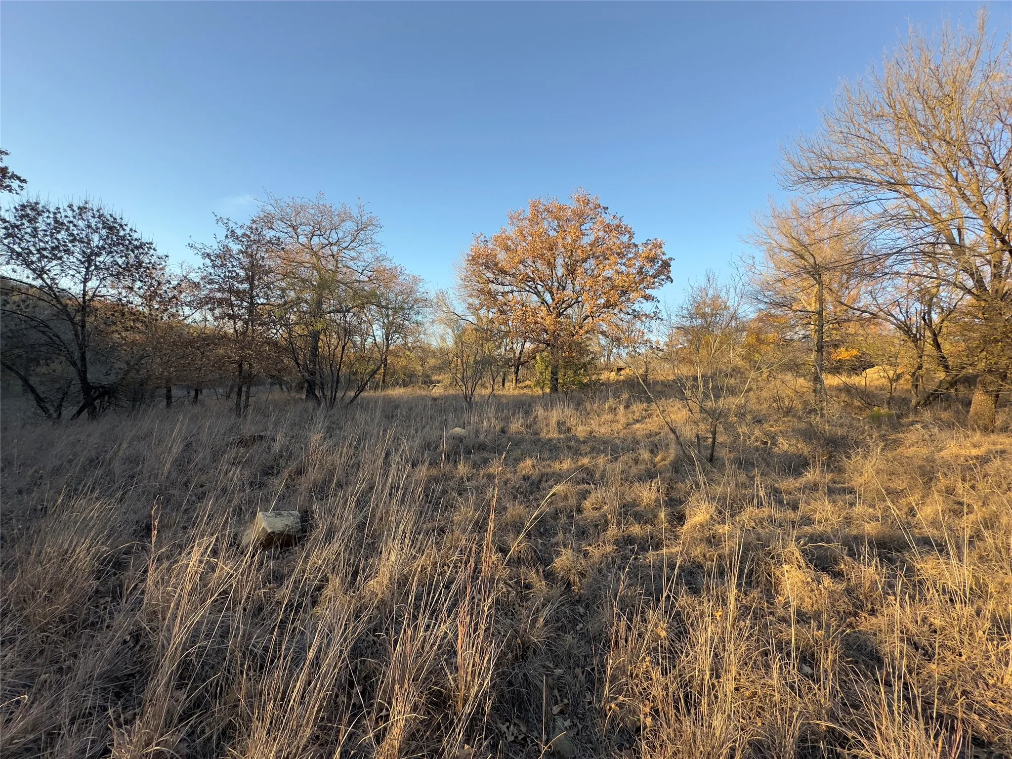 Unimproved Land For Sale in Wise County , Lot 283 Cozy Cove Court, Chico, Texas 76431, 0, 0, Garage spaces, 0 Sqft, built in 0, mls#21316893, Real Estate Agent in Chico, Homes For Sale in Wise county, Homes For Sale in Chico, Realtor in Chico Texas, Real Estate Brokerage Independent Realty Texas, Luminita Cordes Realtor