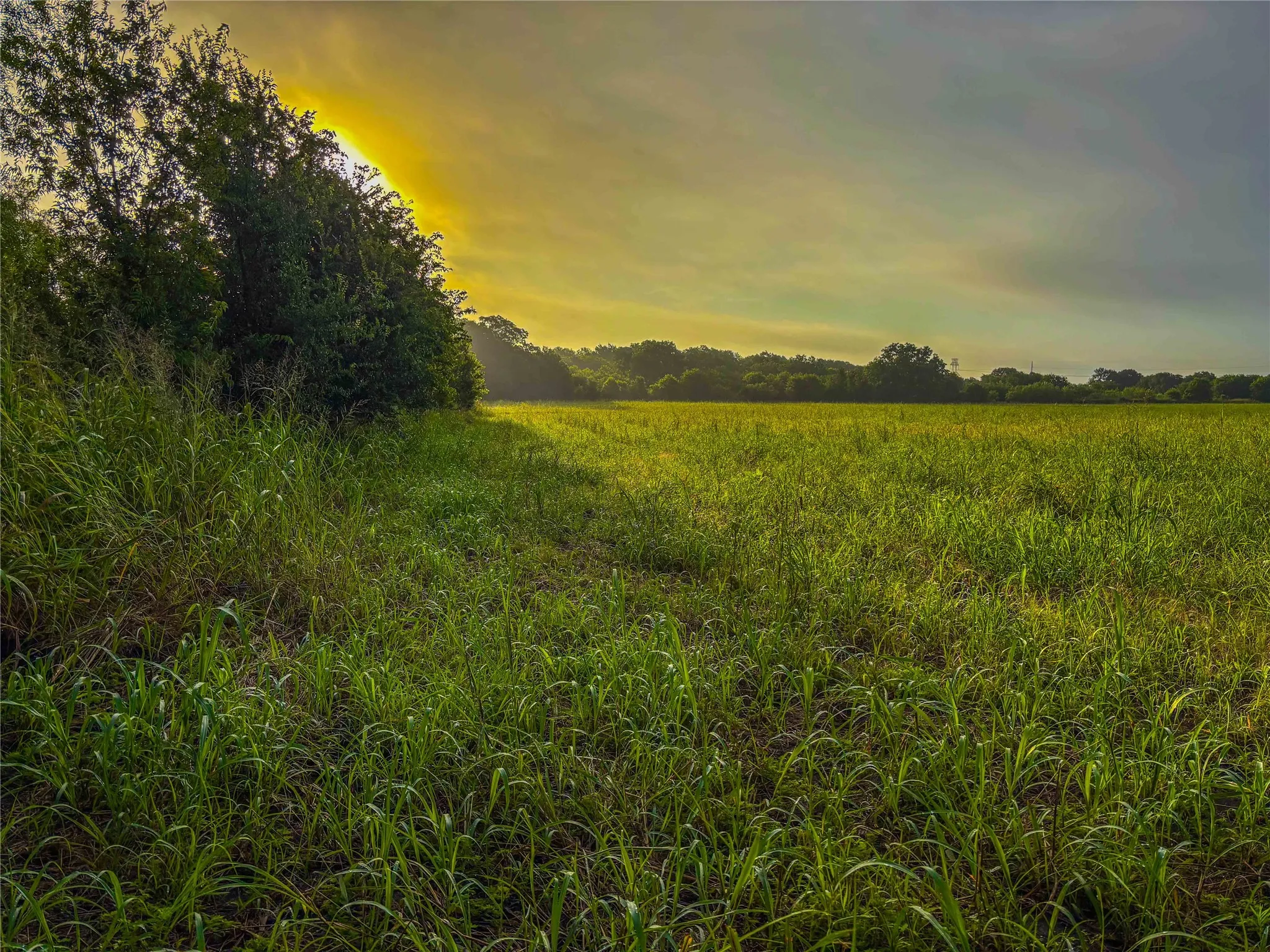 Unimproved Land For Sale in Falls County , 524 County Road 453, Troy, Texas 76579, 0, 0, Garage spaces, 0 Sqft, built in 0, Price $999,900, mls#21315761, Real Estate Agent in Troy, Homes For Sale in Falls county, Homes For Sale in Troy, Realtor in Troy Texas, Real Estate Brokerage Independent Realty Texas, Luminita Cordes Realtor