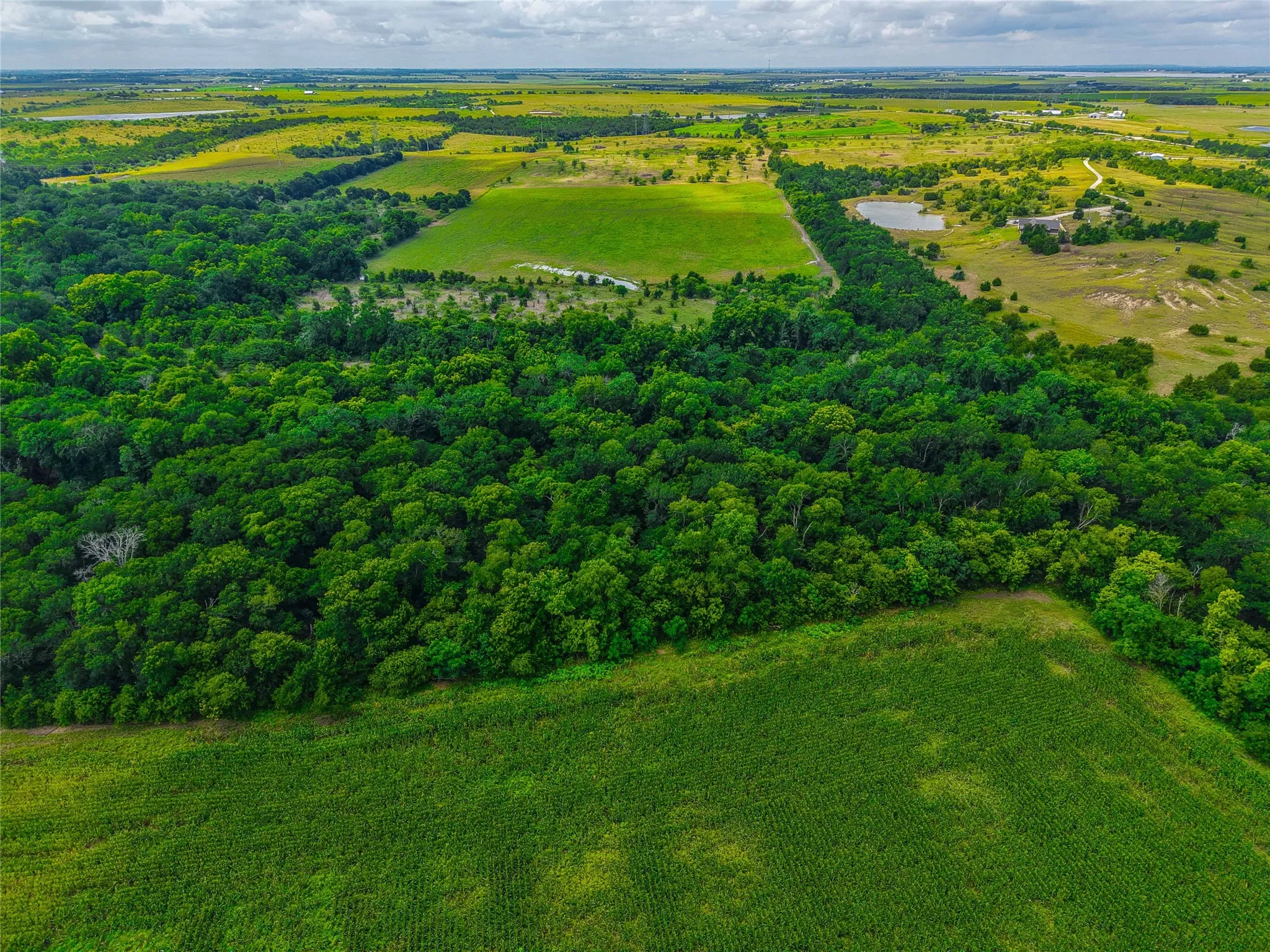 Unimproved Land For Sale in Falls County , 524 County Road 453, Troy, Texas 76579, 0, 0, Garage spaces, 0 Sqft, built in 0, Price $999,900, mls#21315761, Real Estate Agent in Troy, Homes For Sale in Falls county, Homes For Sale in Troy, Realtor in Troy Texas, Real Estate Brokerage Independent Realty Texas, Luminita Cordes Realtor