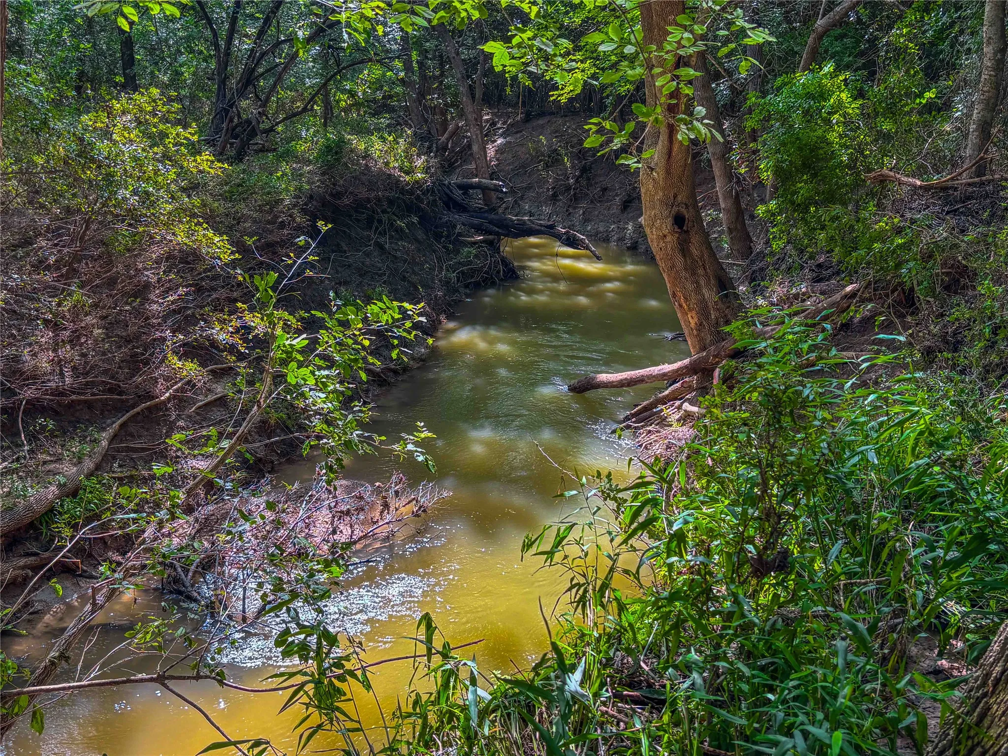 Unimproved Land For Sale in Falls County , 524 County Road 453, Troy, Texas 76579, 0, 0, Garage spaces, 0 Sqft, built in 0, Price $999,900, mls#21315761, Real Estate Agent in Troy, Homes For Sale in Falls county, Homes For Sale in Troy, Realtor in Troy Texas, Real Estate Brokerage Independent Realty Texas, Luminita Cordes Realtor