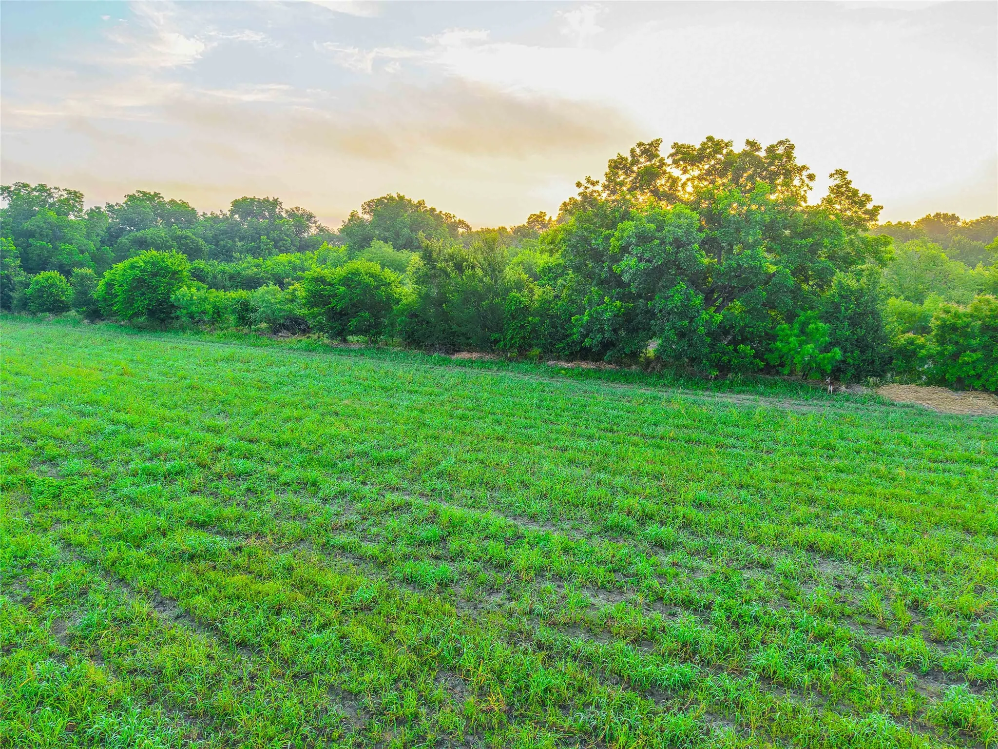 Unimproved Land For Sale in Falls County , 524 County Road 453, Troy, Texas 76579, 0, 0, Garage spaces, 0 Sqft, built in 0, Price $999,900, mls#21315761, Real Estate Agent in Troy, Homes For Sale in Falls county, Homes For Sale in Troy, Realtor in Troy Texas, Real Estate Brokerage Independent Realty Texas, Luminita Cordes Realtor