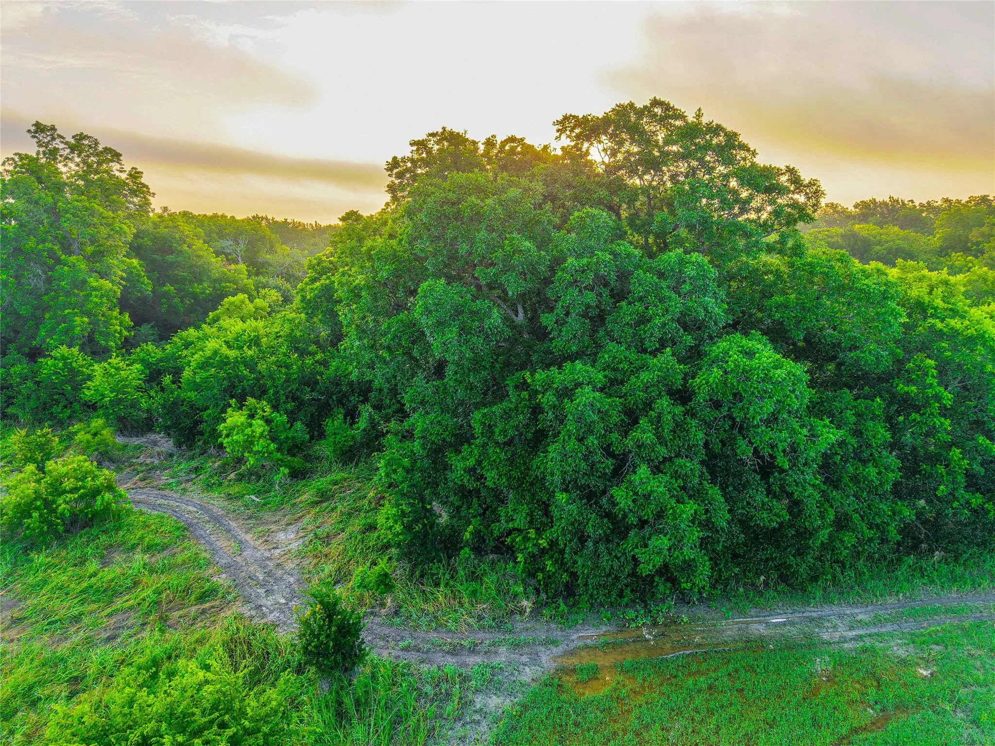 Unimproved Land For Sale in Falls County , 524 County Road 453, Troy, Texas 76579, 0, 0, Garage spaces, 0 Sqft, built in 0, Price $999,900, mls#21315761, Real Estate Agent in Troy, Homes For Sale in Falls county, Homes For Sale in Troy, Realtor in Troy Texas, Real Estate Brokerage Independent Realty Texas, Luminita Cordes Realtor