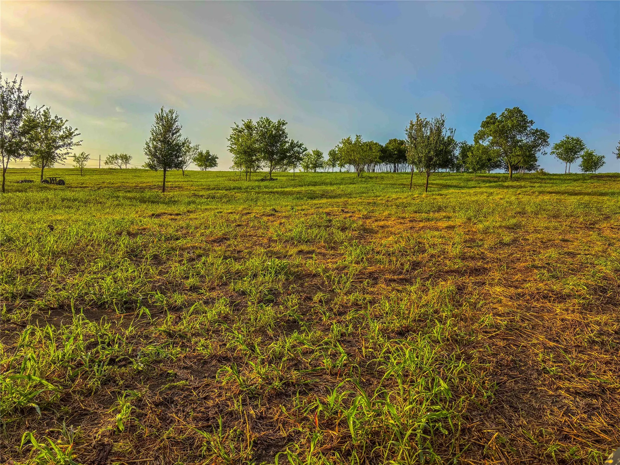 Unimproved Land For Sale in Falls County , 524 County Road 453, Troy, Texas 76579, 0, 0, Garage spaces, 0 Sqft, built in 0, Price $999,900, mls#21315761, Real Estate Agent in Troy, Homes For Sale in Falls county, Homes For Sale in Troy, Realtor in Troy Texas, Real Estate Brokerage Independent Realty Texas, Luminita Cordes Realtor