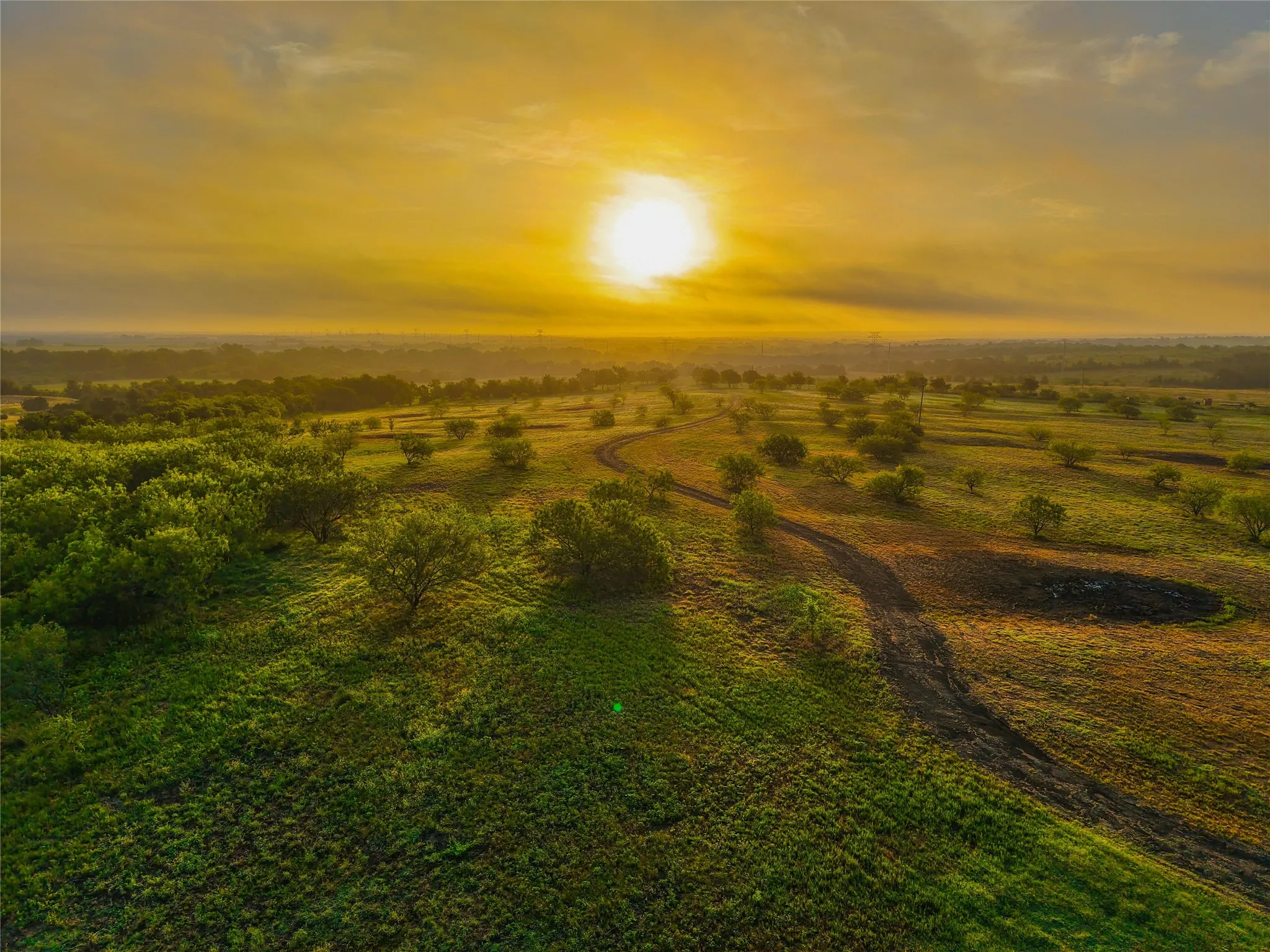 Unimproved Land For Sale in Falls County , 524 County Road 453, Troy, Texas 76579, 0, 0, Garage spaces, 0 Sqft, built in 0, Price $999,900, mls#21315761, Real Estate Agent in Troy, Homes For Sale in Falls county, Homes For Sale in Troy, Realtor in Troy Texas, Real Estate Brokerage Independent Realty Texas, Luminita Cordes Realtor