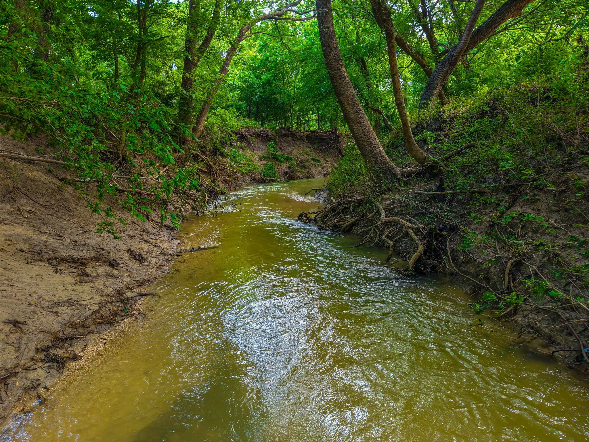 Unimproved Land For Sale in Falls County , 524 County Road 453, Troy, Texas 76579, 0, 0, Garage spaces, 0 Sqft, built in 0, Price $999,900, mls#21315761, Real Estate Agent in Troy, Homes For Sale in Falls county, Homes For Sale in Troy, Realtor in Troy Texas, Real Estate Brokerage Independent Realty Texas, Luminita Cordes Realtor