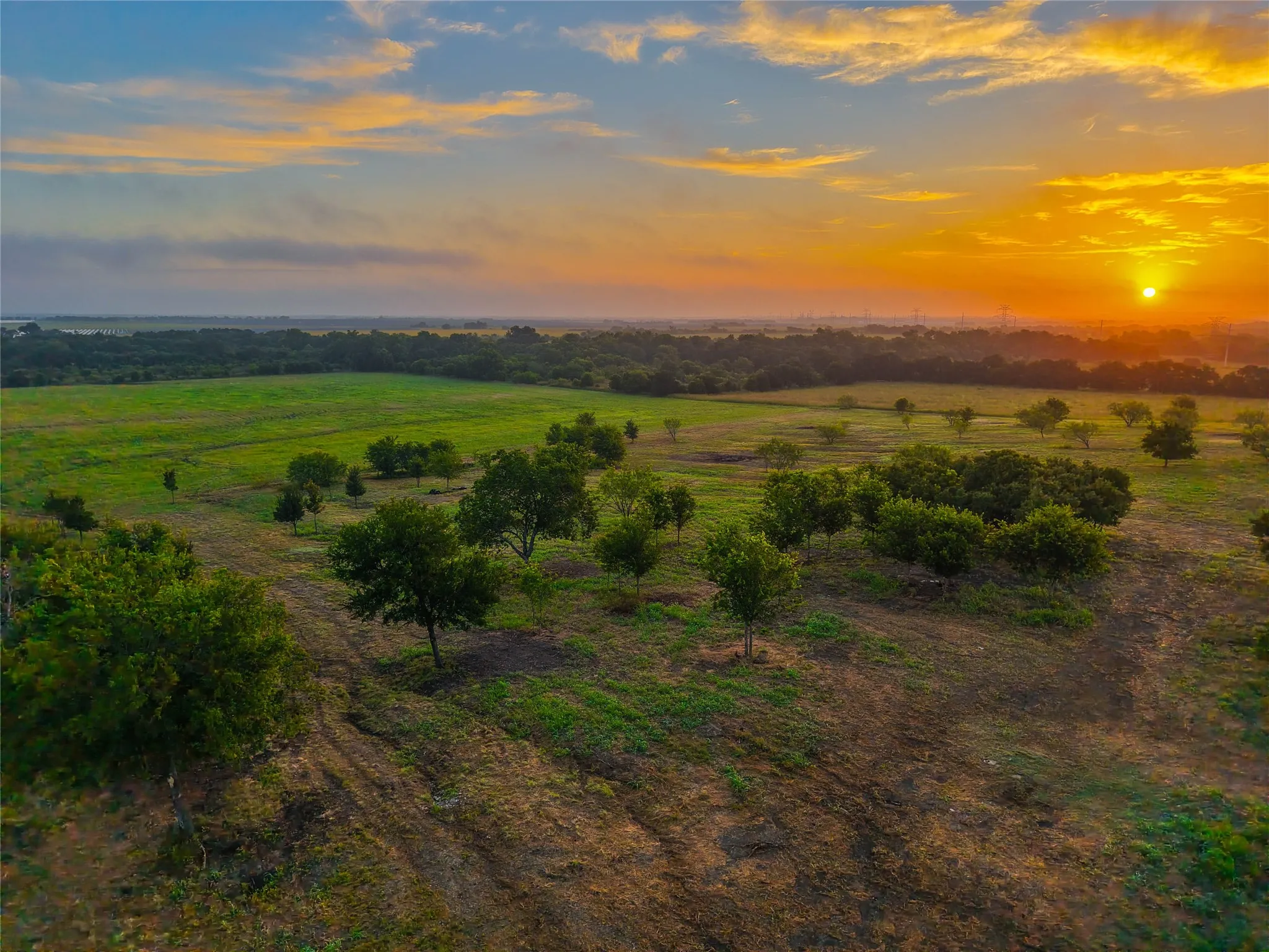 Unimproved Land For Sale in Falls County , 524 County Road 453, Troy, Texas 76579, 0, 0, Garage spaces, 0 Sqft, built in 0, Price $999,900, mls#21315761, Real Estate Agent in Troy, Homes For Sale in Falls county, Homes For Sale in Troy, Realtor in Troy Texas, Real Estate Brokerage Independent Realty Texas, Luminita Cordes Realtor