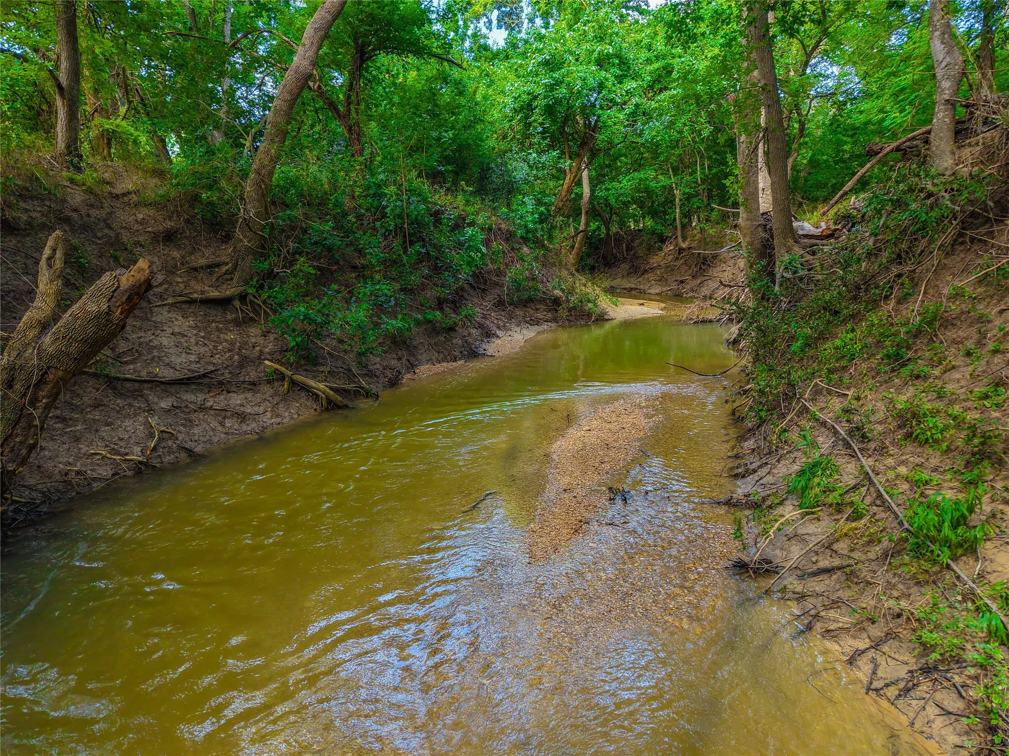 Unimproved Land For Sale in Falls County , 524 County Road 453, Troy, Texas 76579, 0, 0, Garage spaces, 0 Sqft, built in 0, Price $999,900, mls#21315761, Real Estate Agent in Troy, Homes For Sale in Falls county, Homes For Sale in Troy, Realtor in Troy Texas, Real Estate Brokerage Independent Realty Texas, Luminita Cordes Realtor