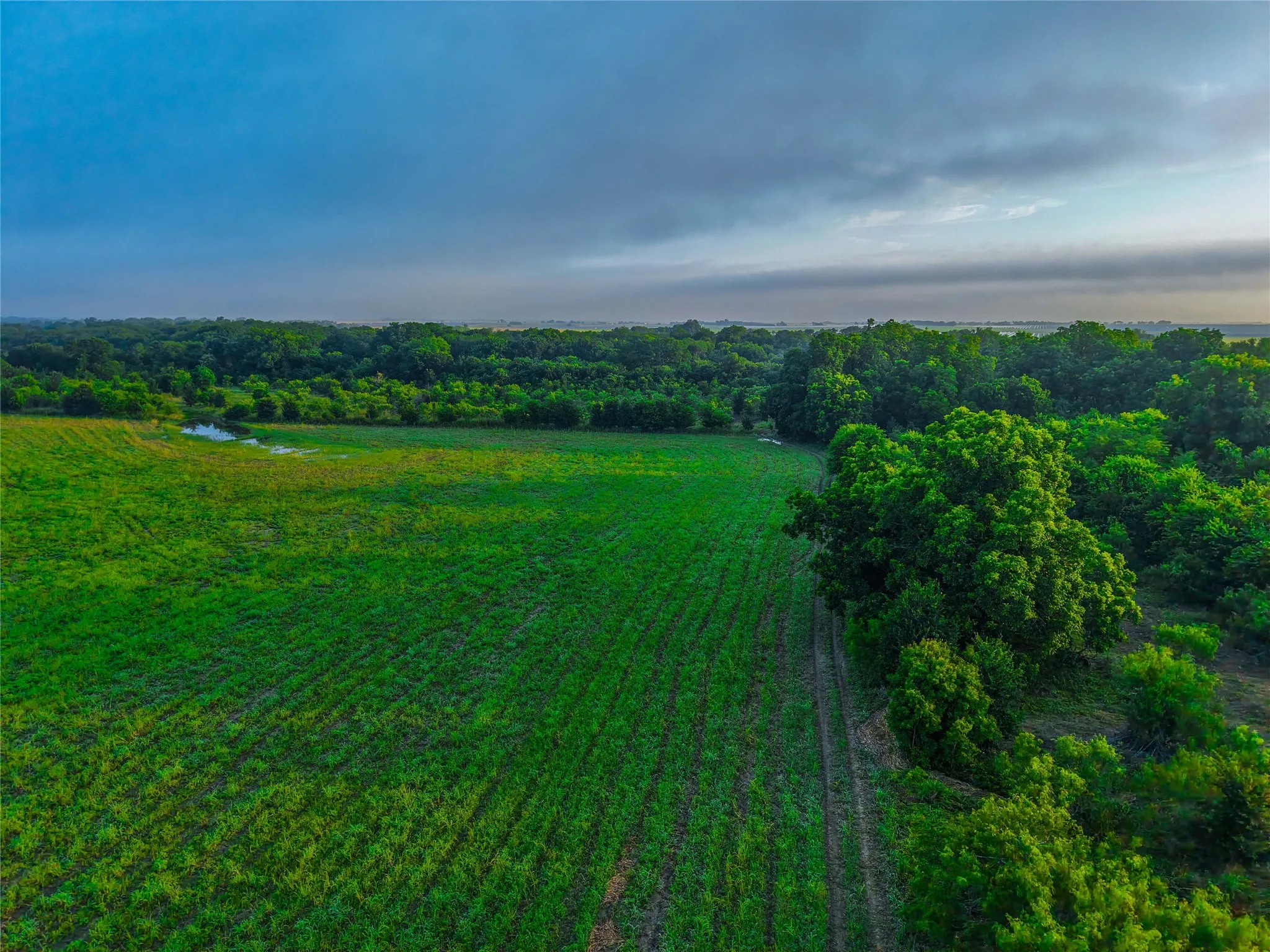 Unimproved Land For Sale in Falls County , 524 County Road 453, Troy, Texas 76579, 0, 0, Garage spaces, 0 Sqft, built in 0, Price $999,900, mls#21315761, Real Estate Agent in Troy, Homes For Sale in Falls county, Homes For Sale in Troy, Realtor in Troy Texas, Real Estate Brokerage Independent Realty Texas, Luminita Cordes Realtor