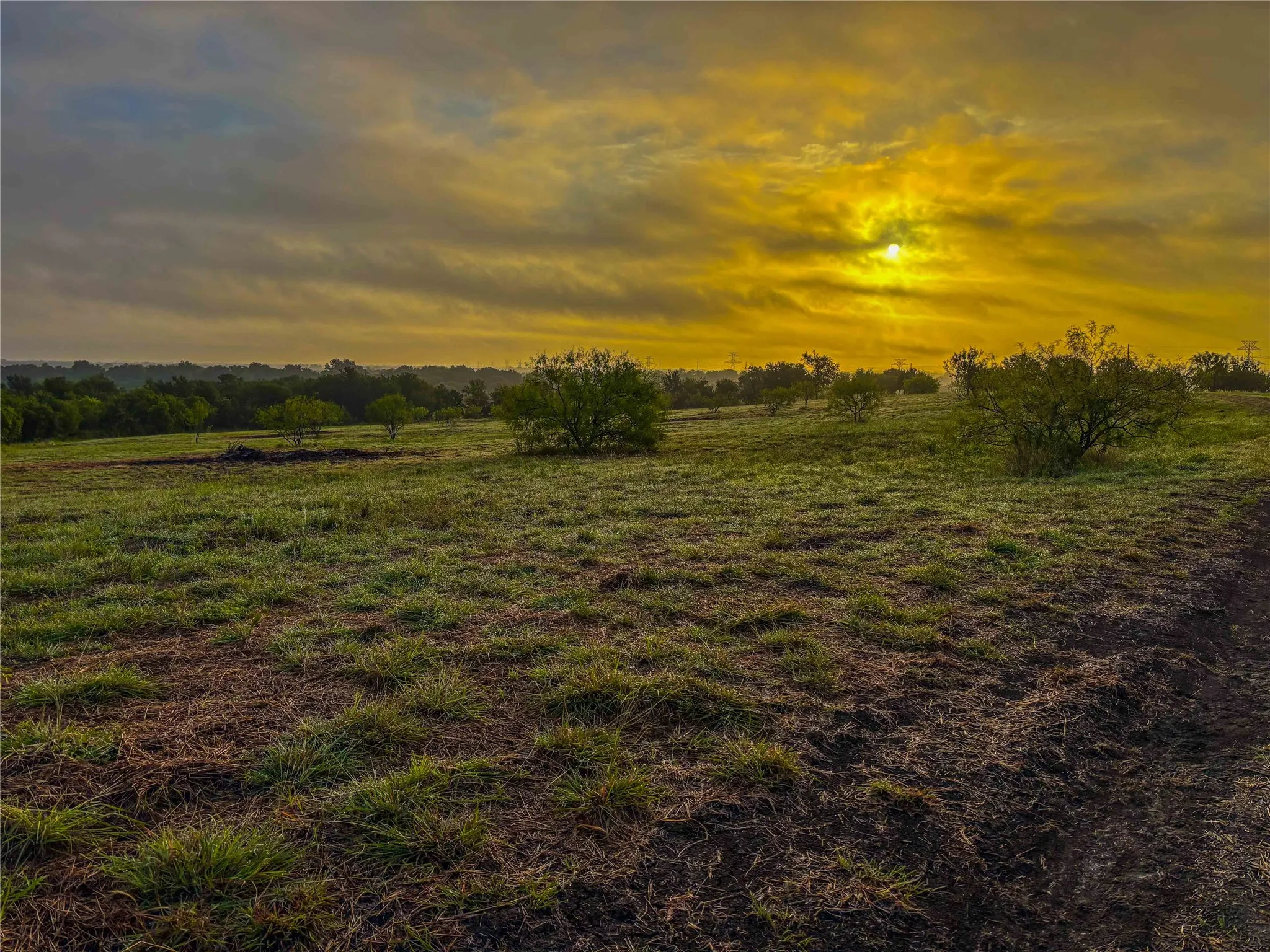 Unimproved Land For Sale in Falls County , 524 County Road 453, Troy, Texas 76579, 0, 0, Garage spaces, 0 Sqft, built in 0, Price $999,900, mls#21315761, Real Estate Agent in Troy, Homes For Sale in Falls county, Homes For Sale in Troy, Realtor in Troy Texas, Real Estate Brokerage Independent Realty Texas, Luminita Cordes Realtor