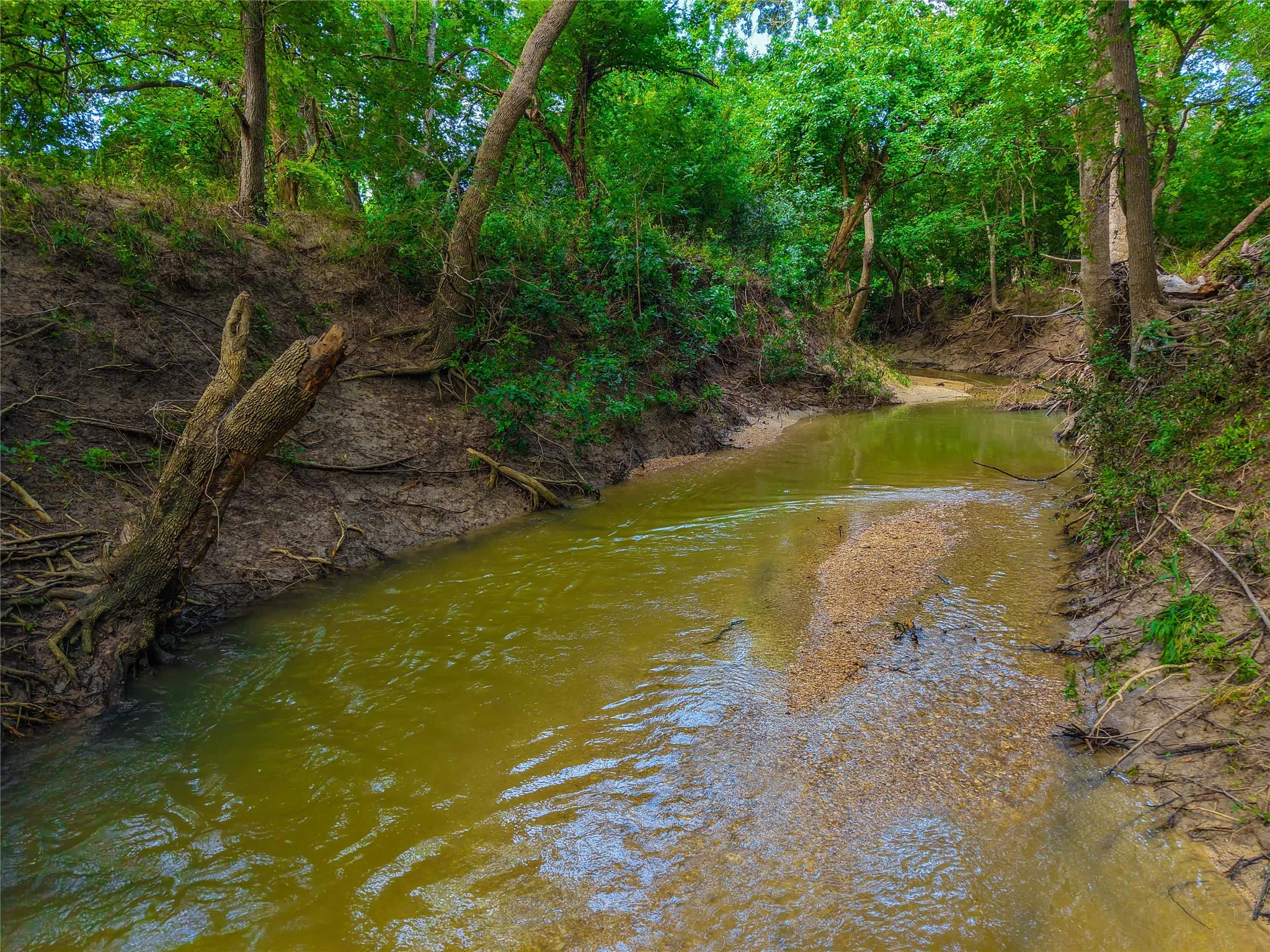 Unimproved Land For Sale in Falls County , 524 County Road 453, Troy, Texas 76579, 0, 0, Garage spaces, 0 Sqft, built in 0, Price $999,900, mls#21315761, Real Estate Agent in Troy, Homes For Sale in Falls county, Homes For Sale in Troy, Realtor in Troy Texas, Real Estate Brokerage Independent Realty Texas, Luminita Cordes Realtor