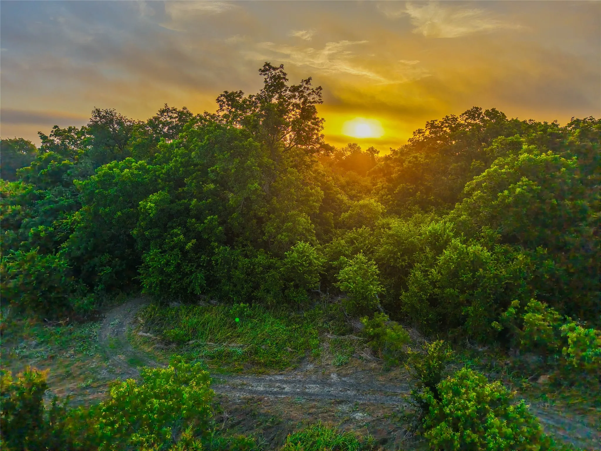 Unimproved Land For Sale in Falls County , 524 County Road 453, Troy, Texas 76579, 0, 0, Garage spaces, 0 Sqft, built in 0, Price $999,900, mls#21315761, Real Estate Agent in Troy, Homes For Sale in Falls county, Homes For Sale in Troy, Realtor in Troy Texas, Real Estate Brokerage Independent Realty Texas, Luminita Cordes Realtor