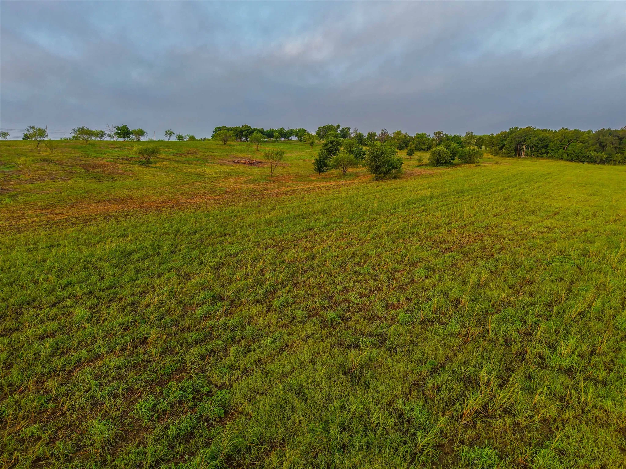 Unimproved Land For Sale in Falls County , 524 County Road 453, Troy, Texas 76579, 0, 0, Garage spaces, 0 Sqft, built in 0, Price $999,900, mls#21315761, Real Estate Agent in Troy, Homes For Sale in Falls county, Homes For Sale in Troy, Realtor in Troy Texas, Real Estate Brokerage Independent Realty Texas, Luminita Cordes Realtor