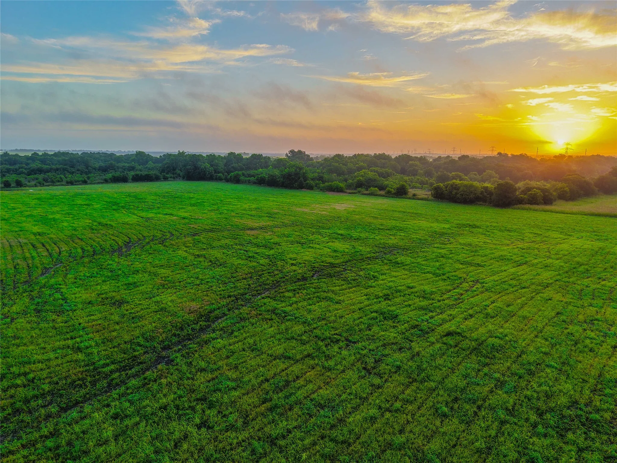 Unimproved Land For Sale in Falls County , 524 County Road 453, Troy, Texas 76579, 0, 0, Garage spaces, 0 Sqft, built in 0, Price $999,900, mls#21315761, Real Estate Agent in Troy, Homes For Sale in Falls county, Homes For Sale in Troy, Realtor in Troy Texas, Real Estate Brokerage Independent Realty Texas, Luminita Cordes Realtor