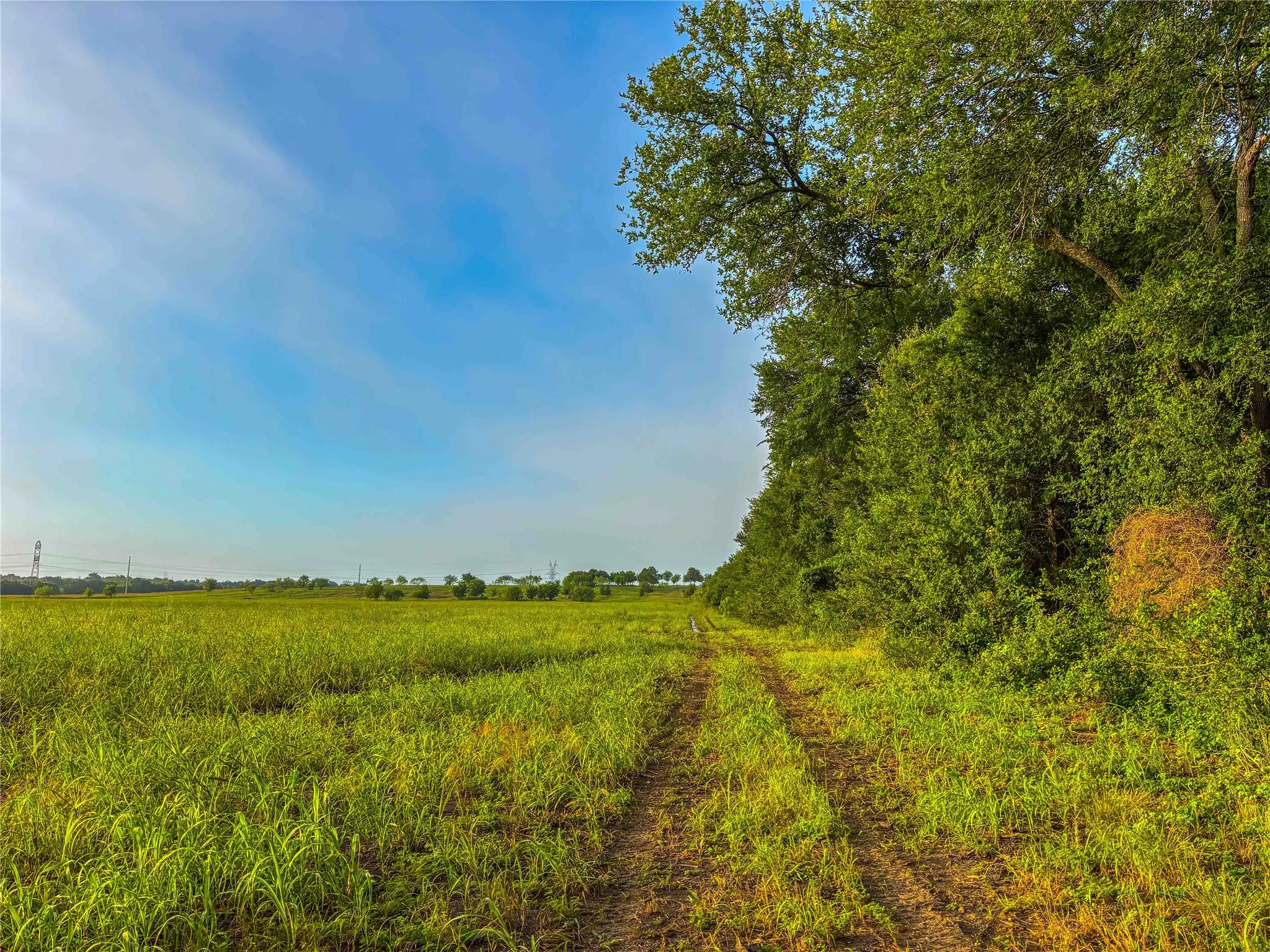 Unimproved Land For Sale in Falls County , 524 County Road 453, Troy, Texas 76579, 0, 0, Garage spaces, 0 Sqft, built in 0, Price $999,900, mls#21315761, Real Estate Agent in Troy, Homes For Sale in Falls county, Homes For Sale in Troy, Realtor in Troy Texas, Real Estate Brokerage Independent Realty Texas, Luminita Cordes Realtor
