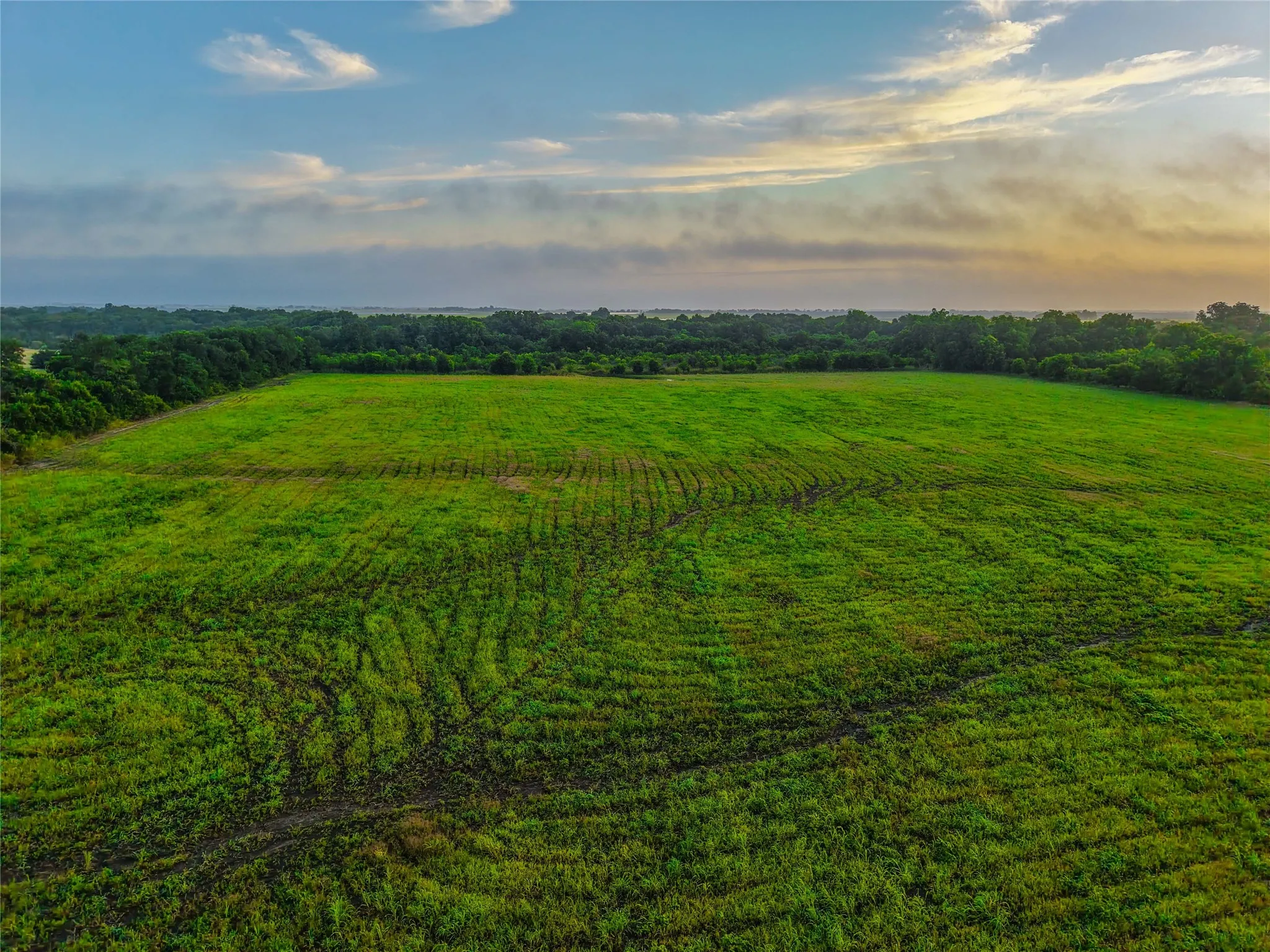Unimproved Land For Sale in Falls County , 524 County Road 453, Troy, Texas 76579, 0, 0, Garage spaces, 0 Sqft, built in 0, Price $999,900, mls#21315761, Real Estate Agent in Troy, Homes For Sale in Falls county, Homes For Sale in Troy, Realtor in Troy Texas, Real Estate Brokerage Independent Realty Texas, Luminita Cordes Realtor