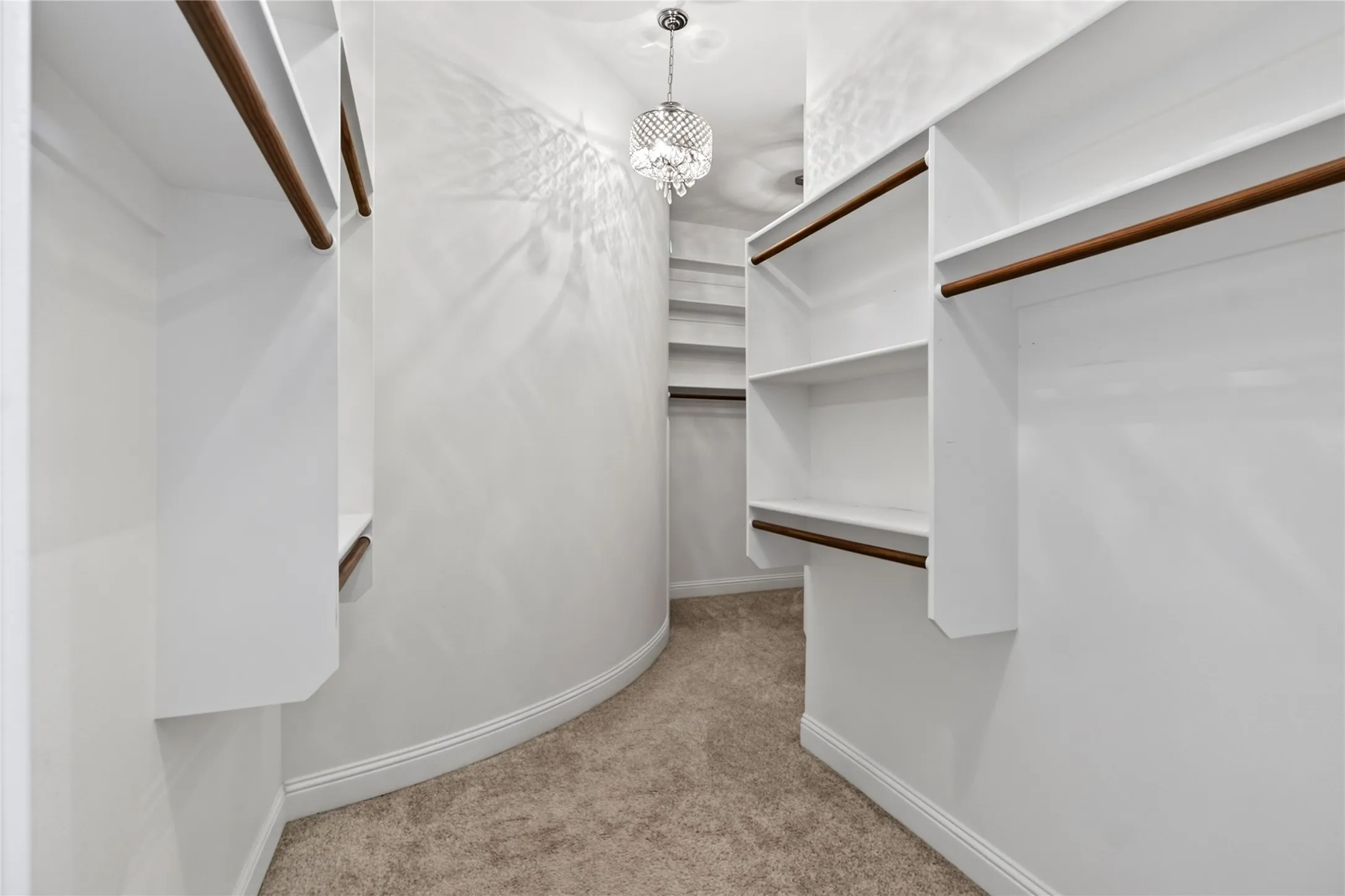 Walk-in closet featuring white built-in shelving, wood-finish hanging rods, and neutral carpet flooring