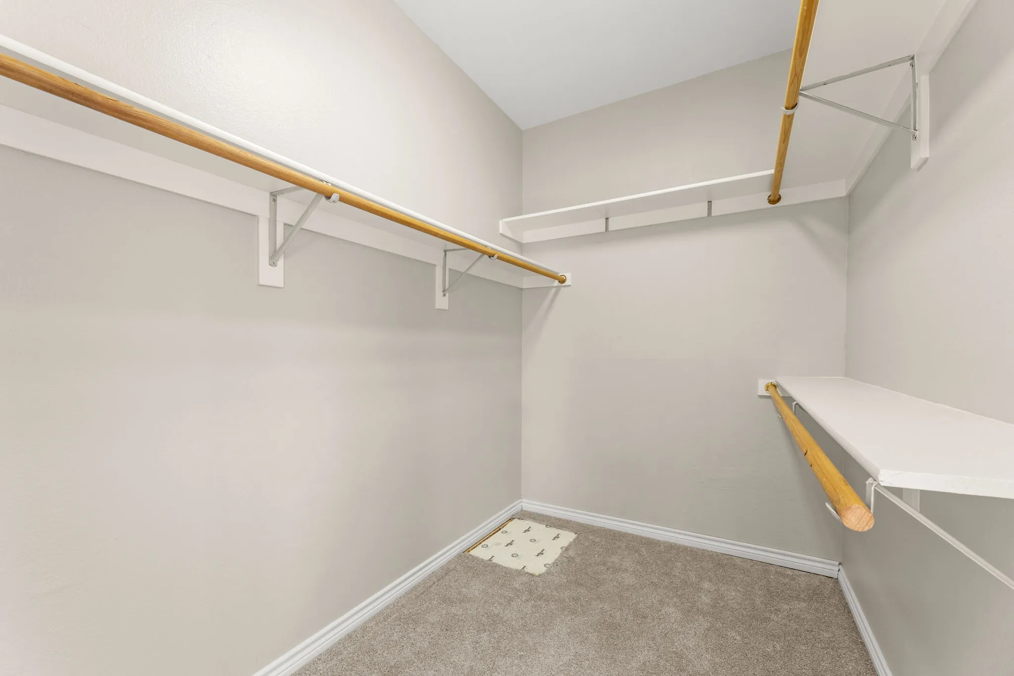 Spacious closet featuring wall-mounted shelving, hanging rods, and neutral-toned carpeting