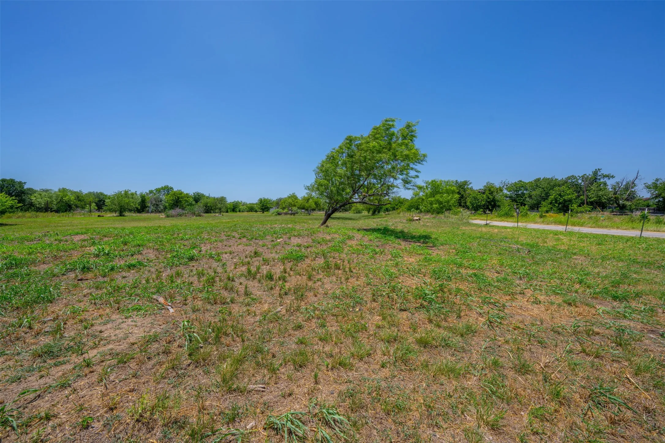 Unimproved Land For Sale in Eastland County , 407 W 14th Street, Cisco, Texas 76437, 0, 0, Garage spaces, 0 Sqft, built in 1965, mls#21317098, Real Estate Agent in Cisco, Homes For Sale in Eastland county, Homes For Sale in Cisco, Realtor in Cisco Texas, Real Estate Brokerage Independent Realty Texas, Luminita Cordes Realtor