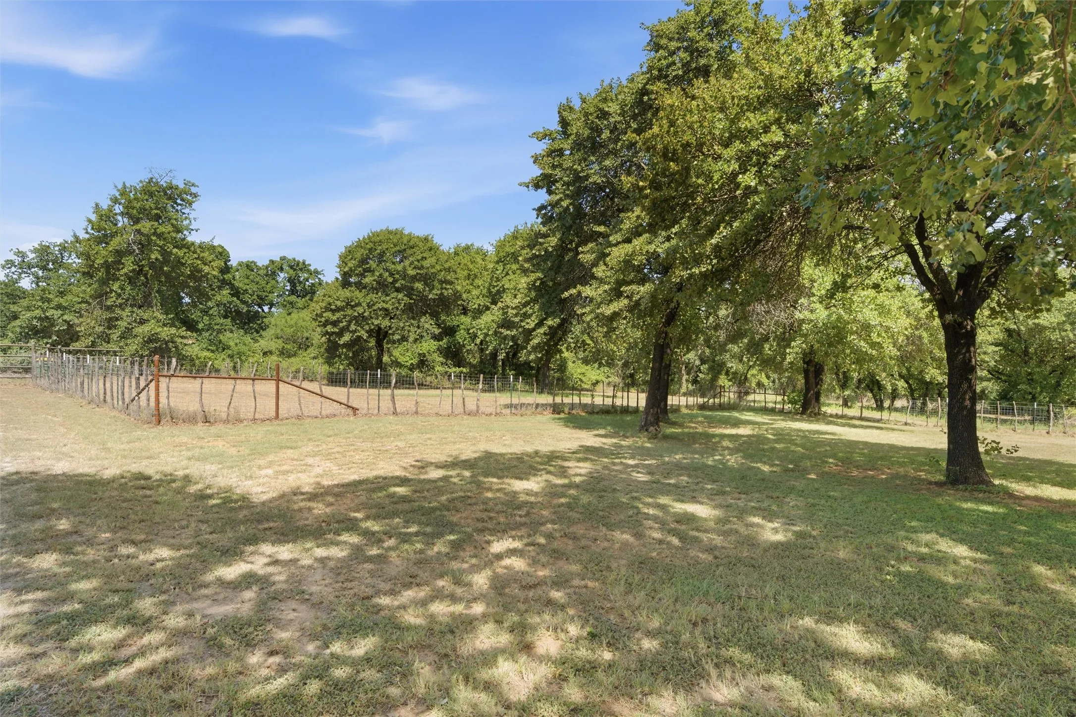 Expansive outdoor area featuring mature trees providing shade