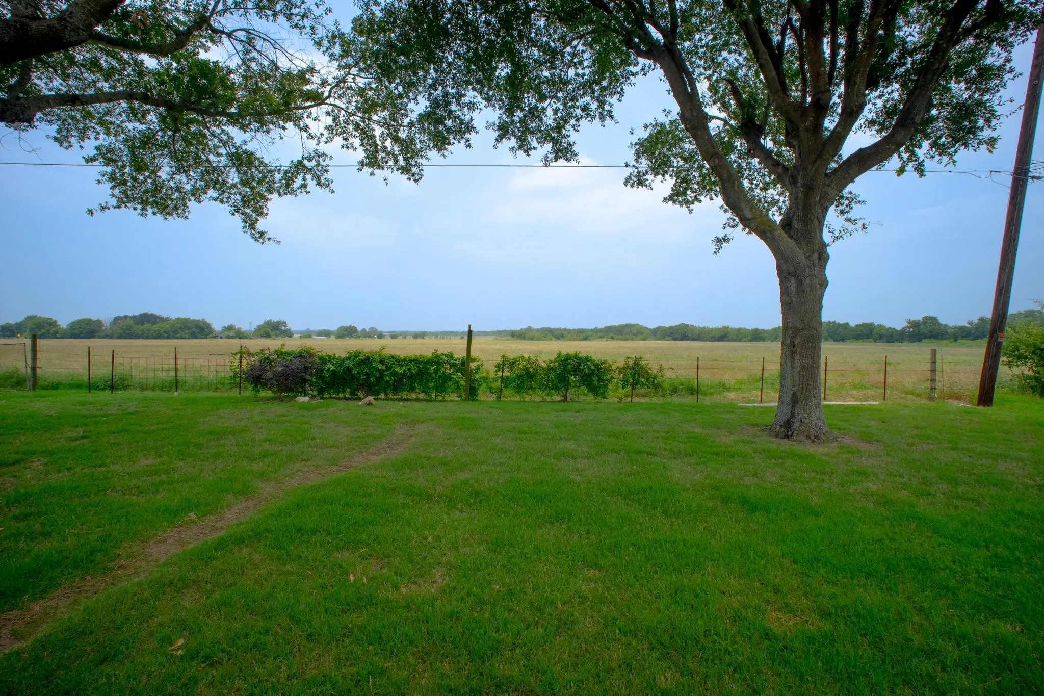 Expansive grassy area with mature shade trees and a distant field bordered by a wire fence