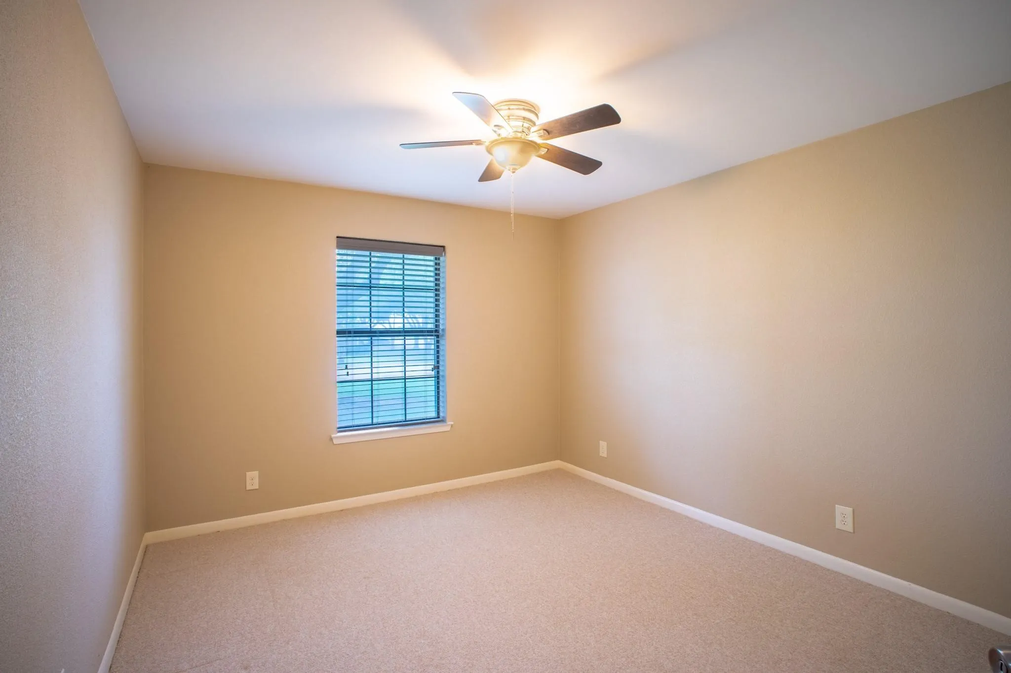 Neutral-toned walls complement plush carpet flooring