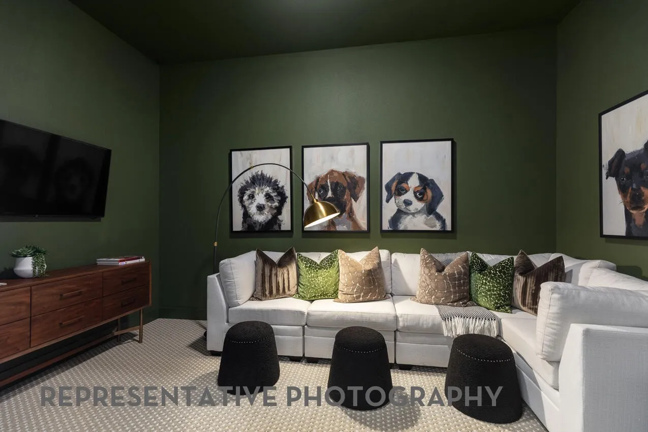 Entertainment Room