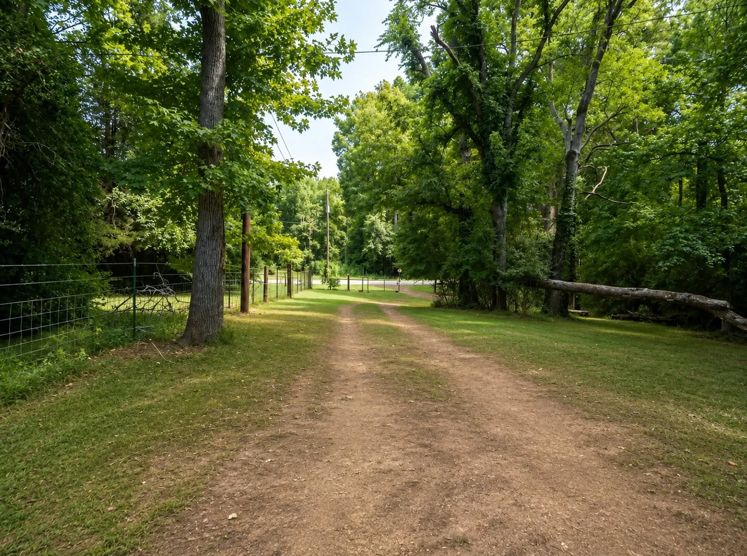 Farm For Sale in Upshur County , 8909 FM 1795, Big Sandy, Texas 75755, 3 Bedroom, 2 Bathroom, Garage spaces, 1,512 Sqft, built in 2022, mls#21317313, Real Estate Agent in Big Sandy, Homes For Sale in Upshur county, Homes For Sale in Big Sandy, Realtor in Big Sandy Texas, Real Estate Brokerage Independent Realty Texas, Luminita Cordes Realtor