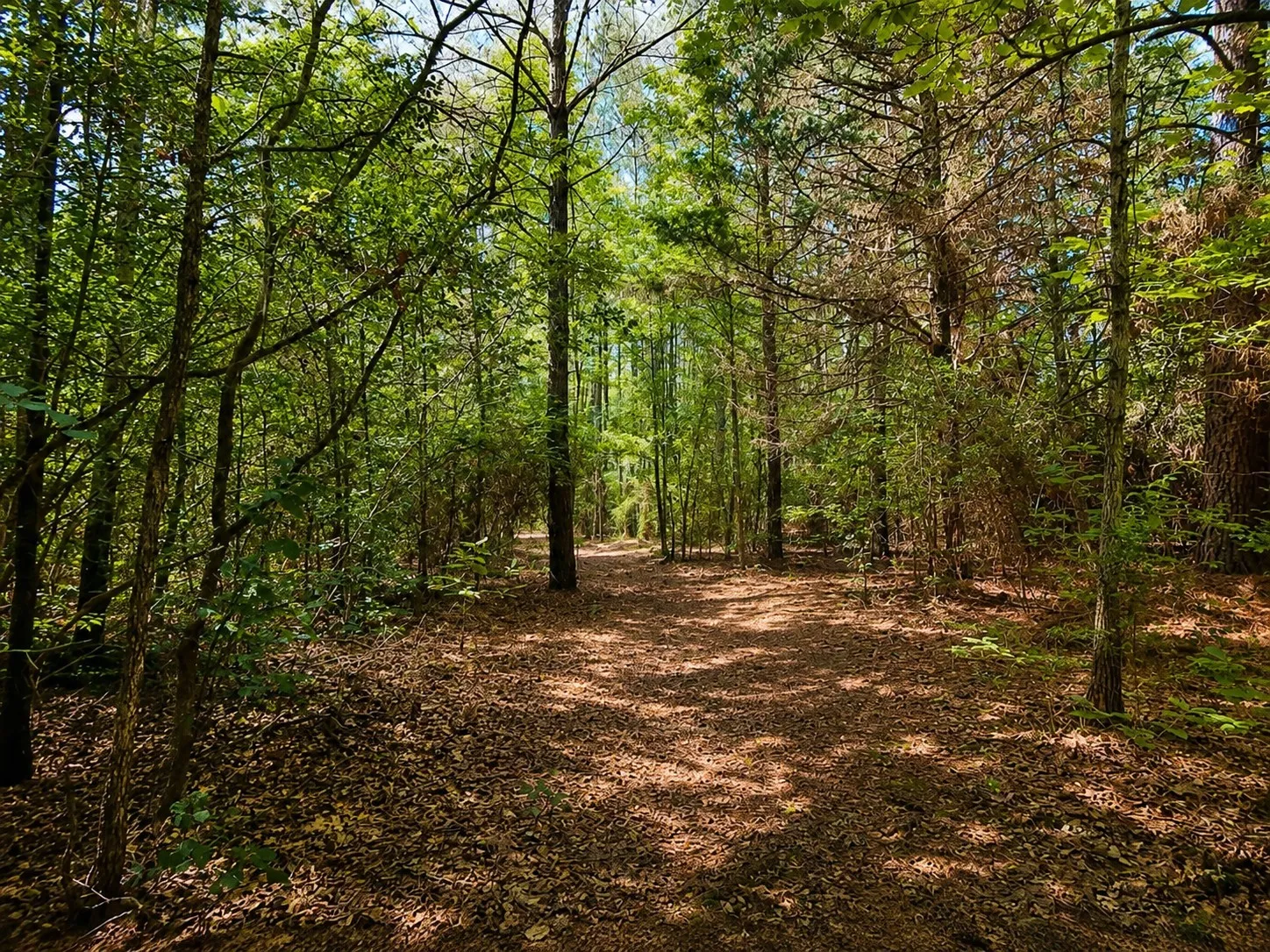 Farm For Sale in Upshur County , 8909 FM 1795, Big Sandy, Texas 75755, 3 Bedroom, 2 Bathroom, Garage spaces, 1,512 Sqft, built in 2022, mls#21317313, Real Estate Agent in Big Sandy, Homes For Sale in Upshur county, Homes For Sale in Big Sandy, Realtor in Big Sandy Texas, Real Estate Brokerage Independent Realty Texas, Luminita Cordes Realtor
