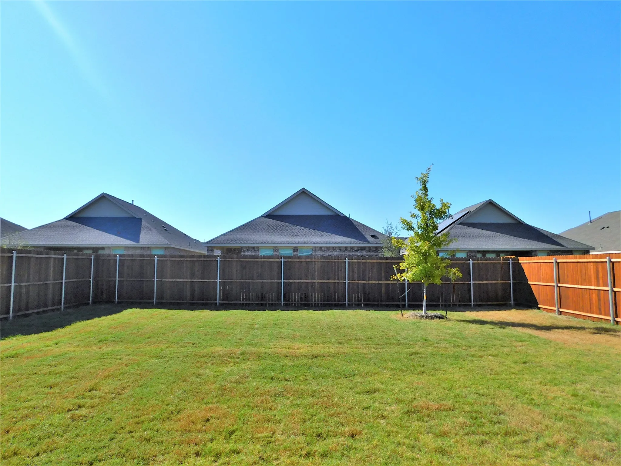 Single Family Residence For Rent in Denton County , 1624 Da Vinci Drive, Little Elm, Texas 75068, 3 Bedroom, 2 Bathroom, 2 Garage spaces, 1,626 Sqft, built in 2021, mls#21317296, Real Estate Agent in Little Elm, Homes For Rent in Denton county, Homes For Rent in Little Elm, Realtor in Little Elm Texas, Real Estate Brokerage Independent Realty Texas, Luminita Cordes Realtor