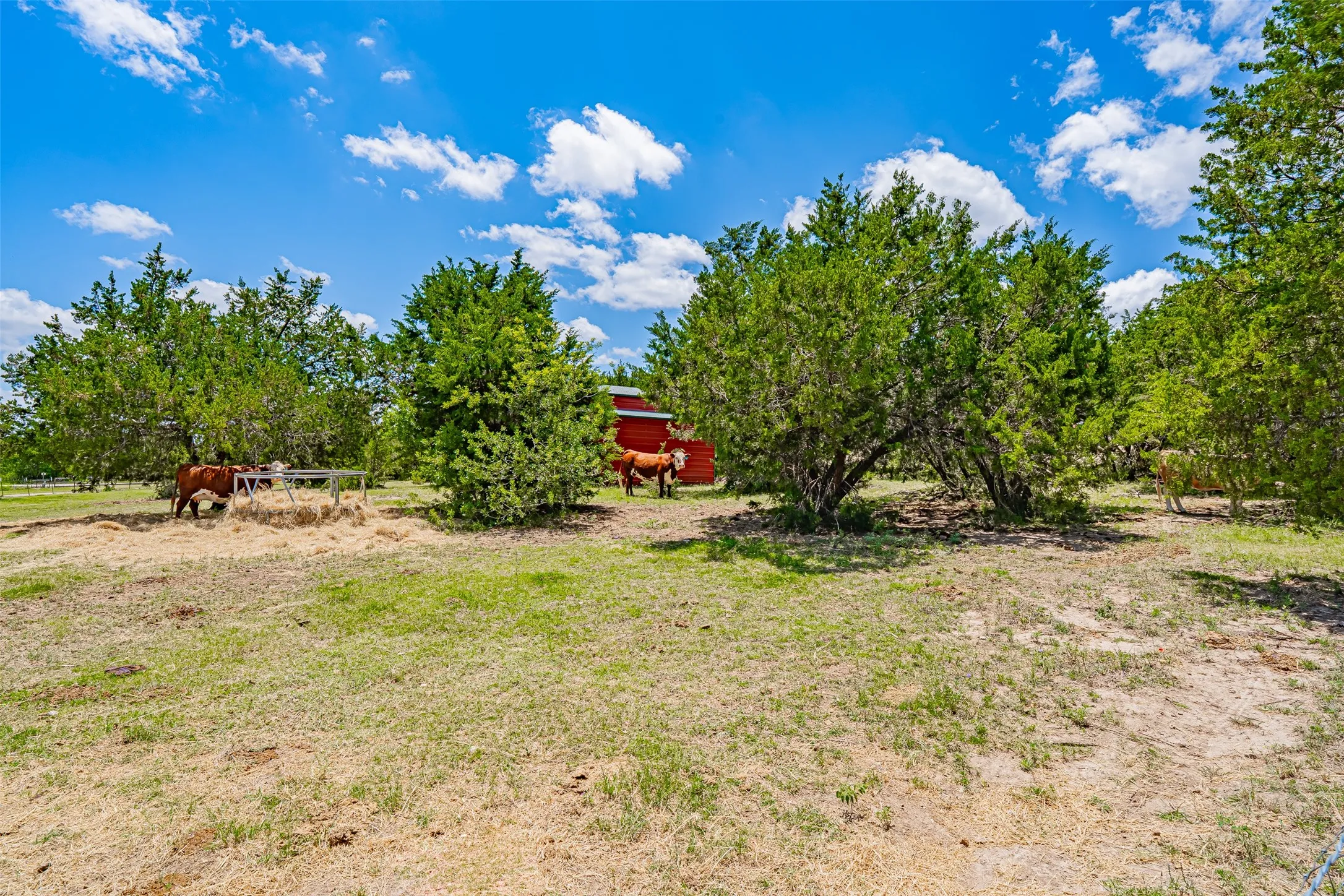 Pasture In Front of Barn Area
