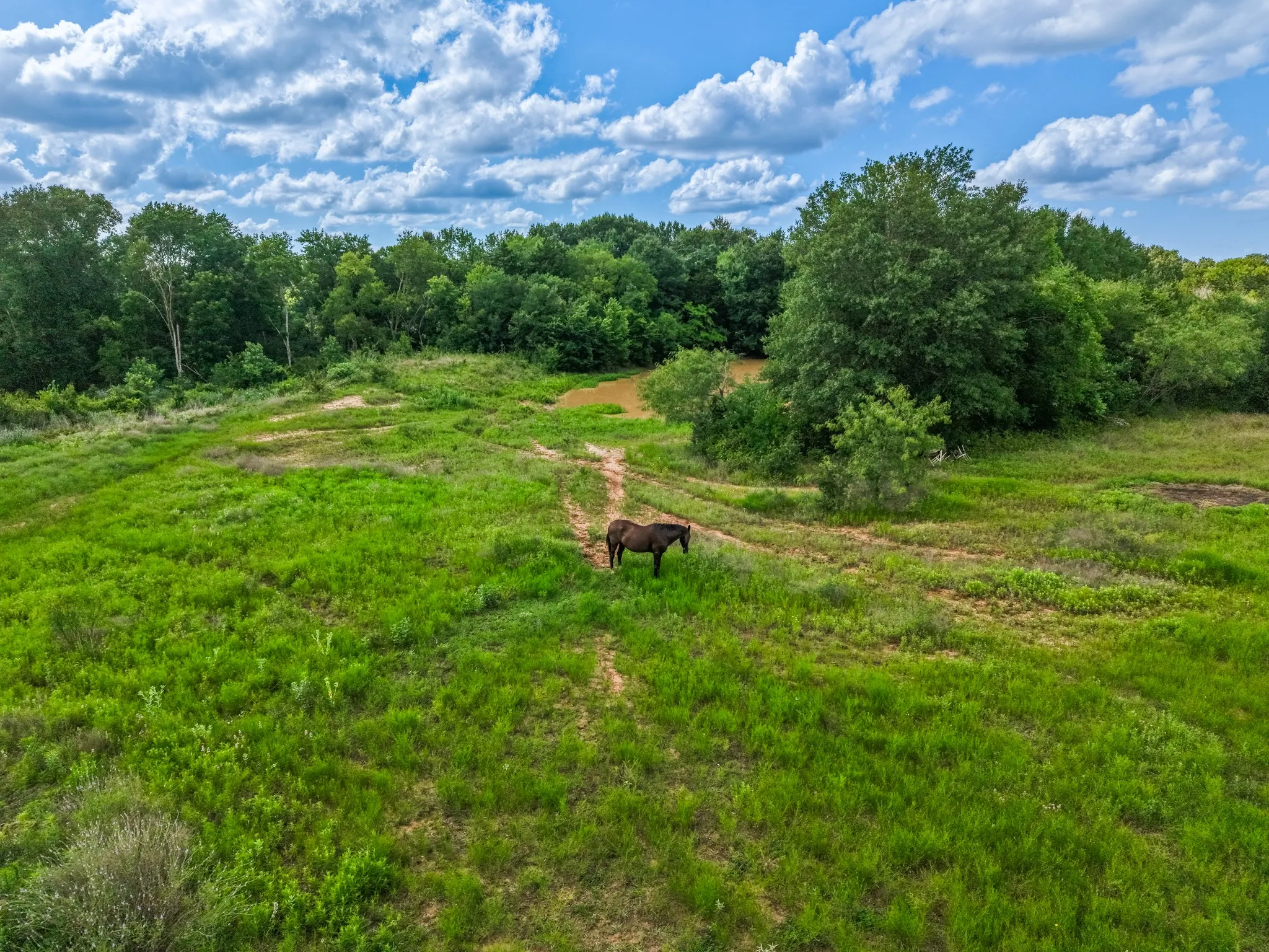 Improved Land For Sale in Limestone County , TBD Lcr 238 ACRES 17.8, Mexia, Texas 76667, 0, 0, Garage spaces, 0 Sqft, built in 0, mls#21317351, Real Estate Agent in Mexia, Homes For Sale in Limestone county, Homes For Sale in Mexia, Realtor in Mexia Texas, Real Estate Brokerage Independent Realty Texas, Luminita Cordes Realtor