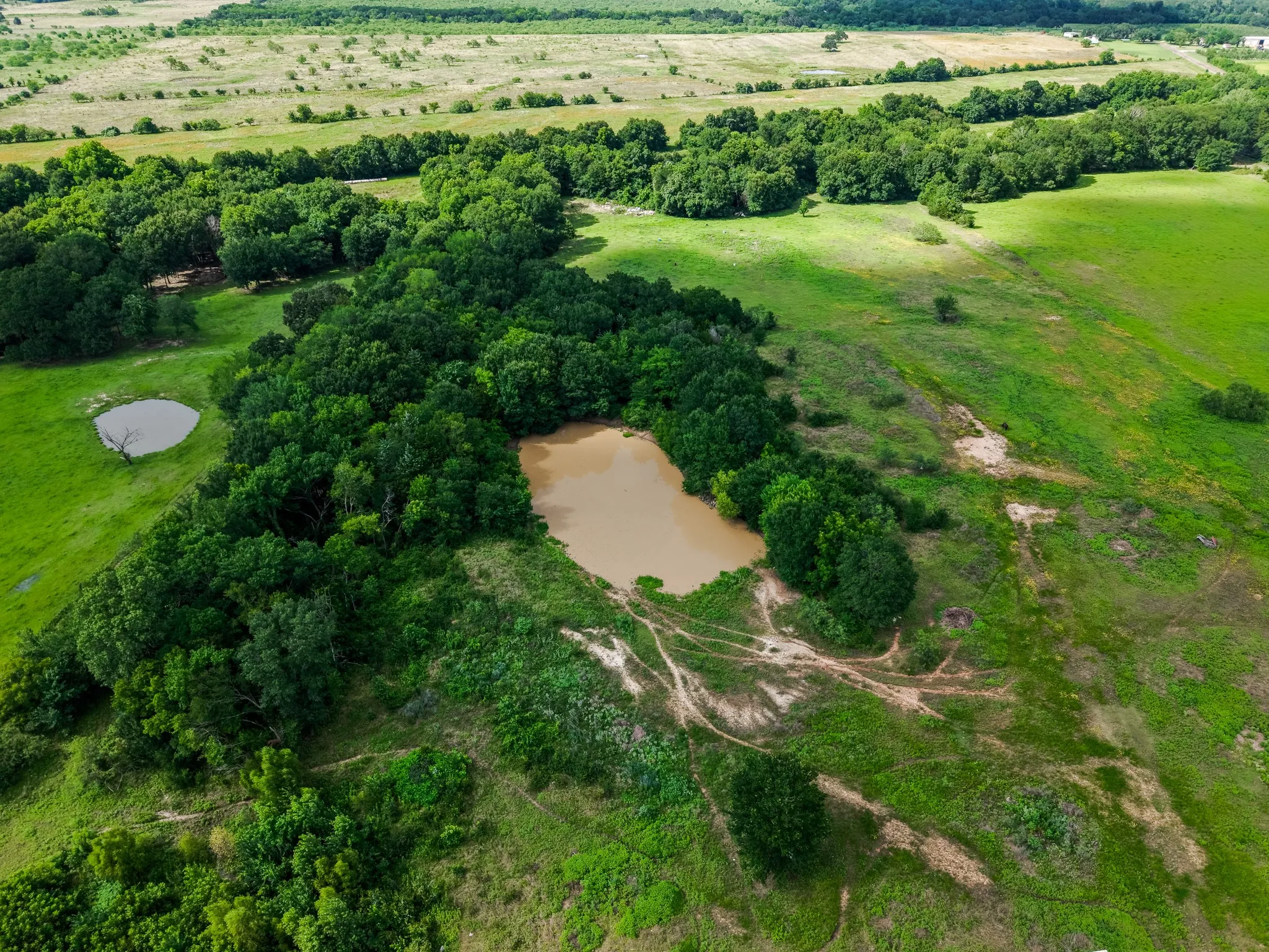 Expansive green acreage featuring two distinct ponds and mature tree lines