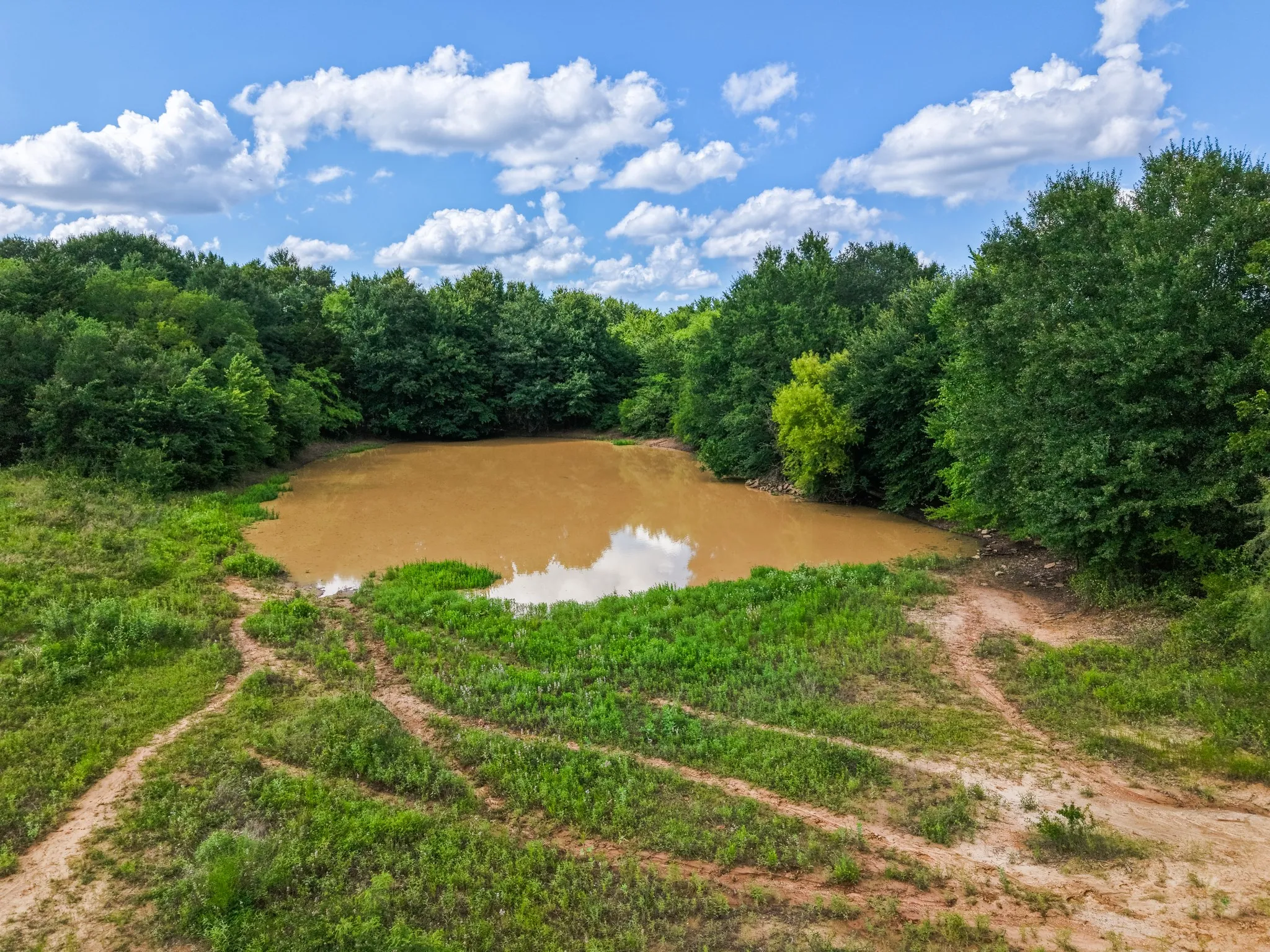 Improved Land For Sale in Limestone County , TBD Lcr 238 ACRES 17.8, Mexia, Texas 76667, 0, 0, Garage spaces, 0 Sqft, built in 0, mls#21317351, Real Estate Agent in Mexia, Homes For Sale in Limestone county, Homes For Sale in Mexia, Realtor in Mexia Texas, Real Estate Brokerage Independent Realty Texas, Luminita Cordes Realtor
