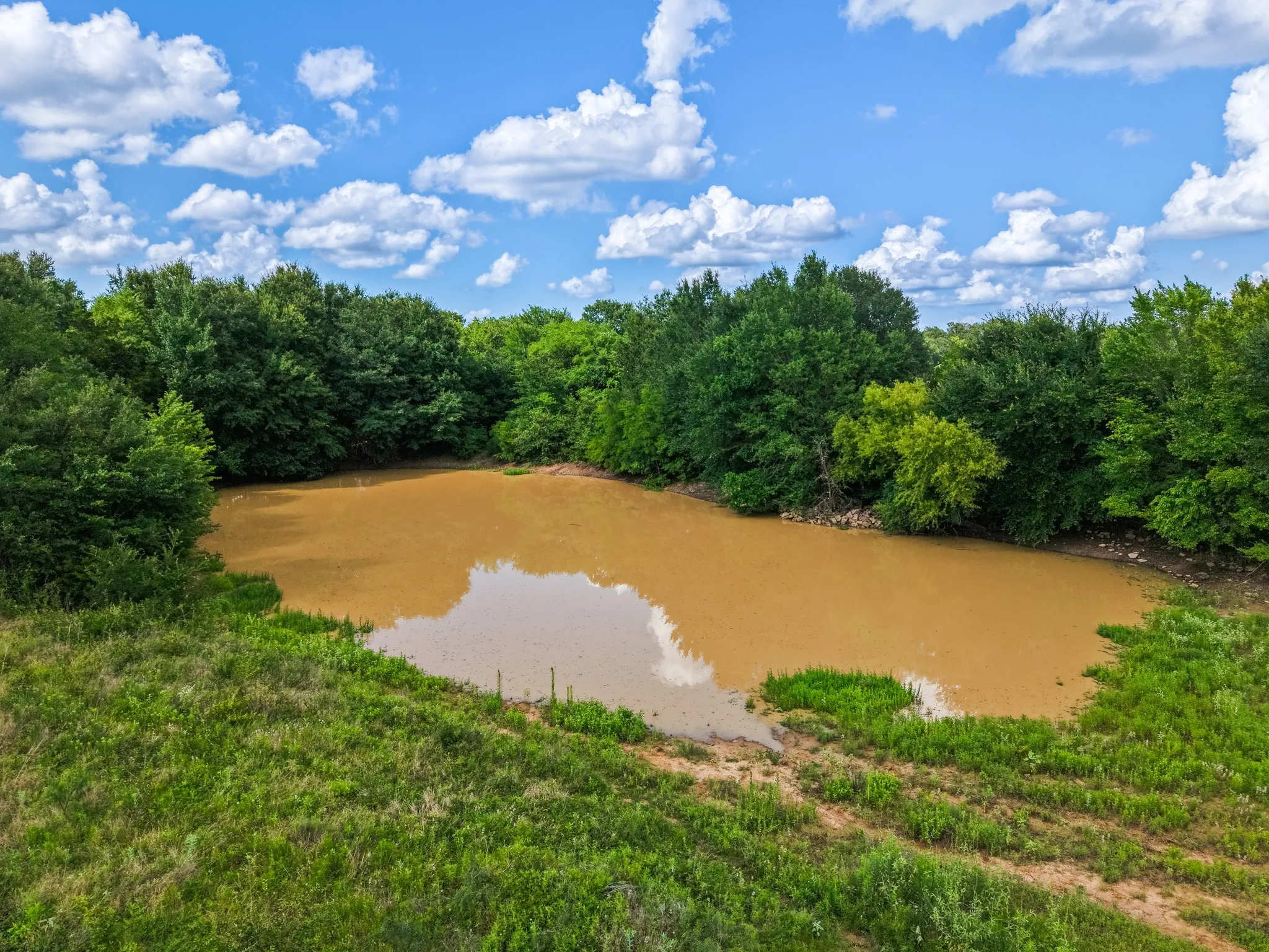 Natural pond surrounded by mature trees and lush green vegetation
