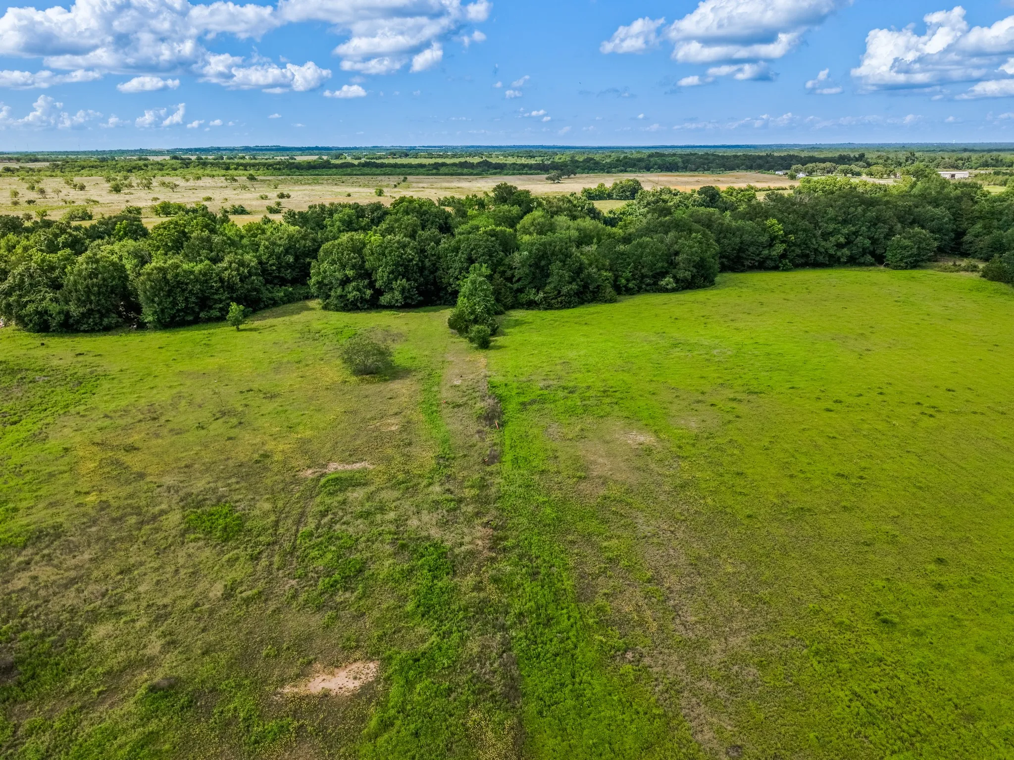 Expansive green acreage featuring a treeline, scattered trees, and distant open fields