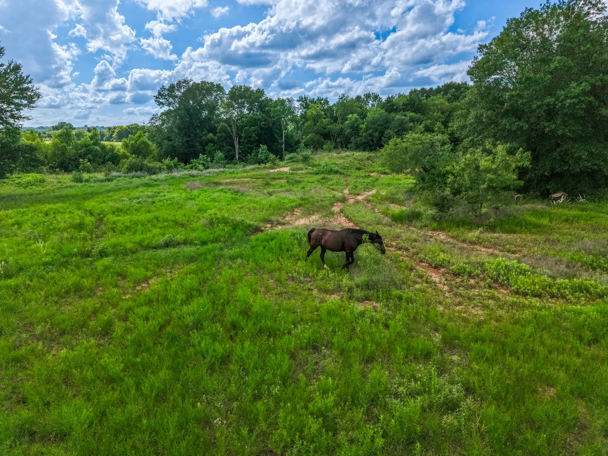 Improved Land For Sale in Limestone County , TBD Lcr 238 ACRES 17.8, Mexia, Texas 76667, 0, 0, Garage spaces, 0 Sqft, built in 0, mls#21317351, Real Estate Agent in Mexia, Homes For Sale in Limestone county, Homes For Sale in Mexia, Realtor in Mexia Texas, Real Estate Brokerage Independent Realty Texas, Luminita Cordes Realtor