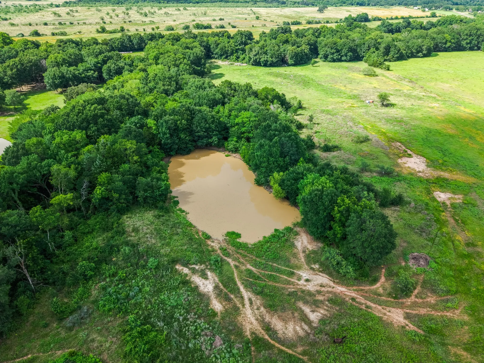 Natural pond surrounded by mature trees