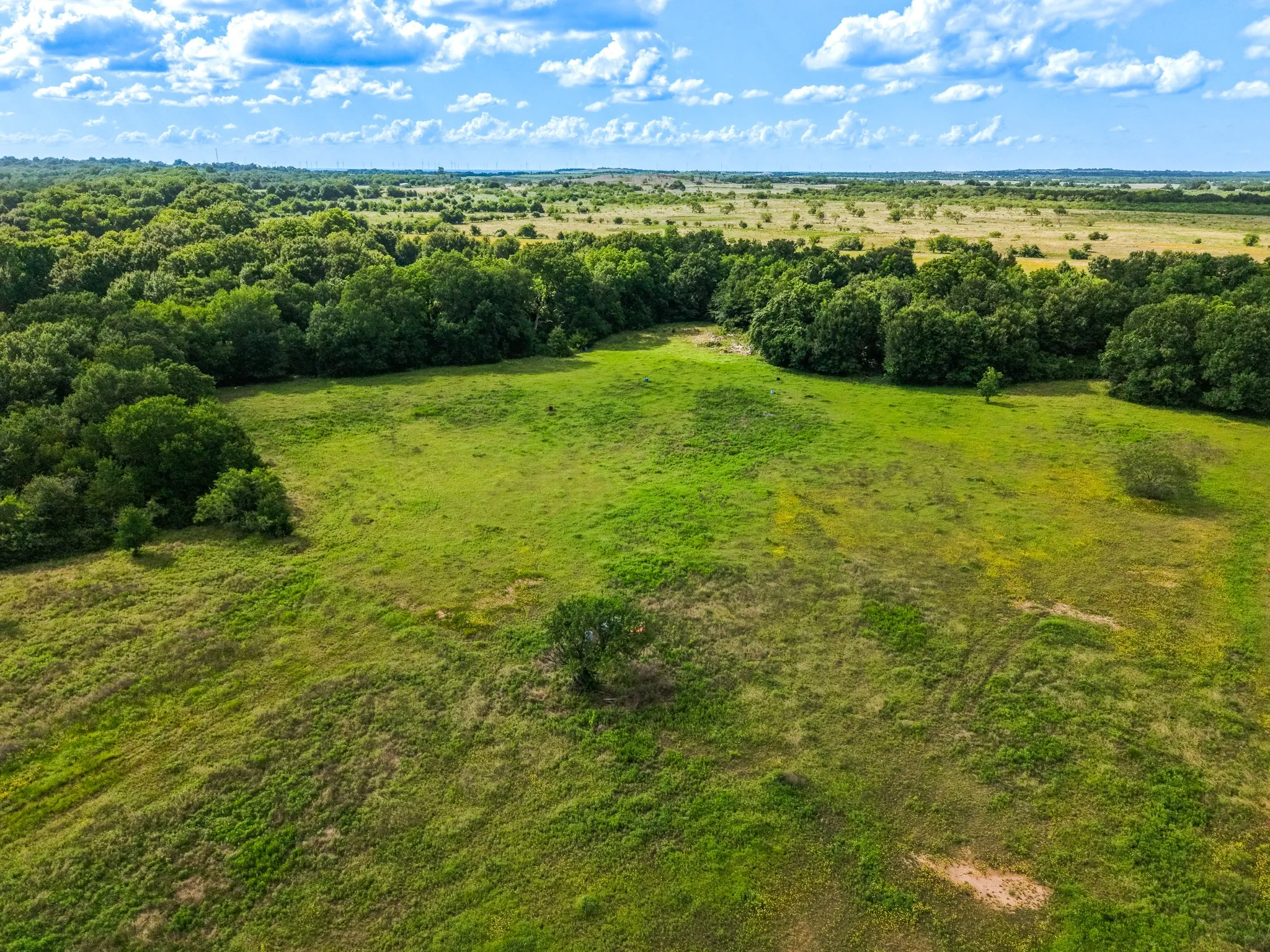 Expansive green acreage featuring scattered trees and a distant tree line under a bright sky