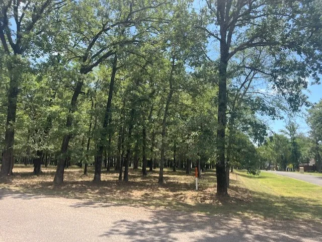 Improved Land For Sale in Henderson County , 146 St Andrews Drive, Mabank, Texas 75156, 0, 0, Garage spaces, 0 Sqft, built in 0, Price $32,000, mls#21309032, Real Estate Agent in Mabank, Homes For Sale in Henderson county, Homes For Sale in Mabank, Realtor in Mabank Texas, Real Estate Brokerage Independent Realty Texas, Luminita Cordes Realtor