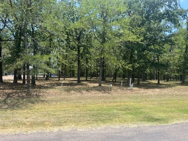 Beautiful treed lot
