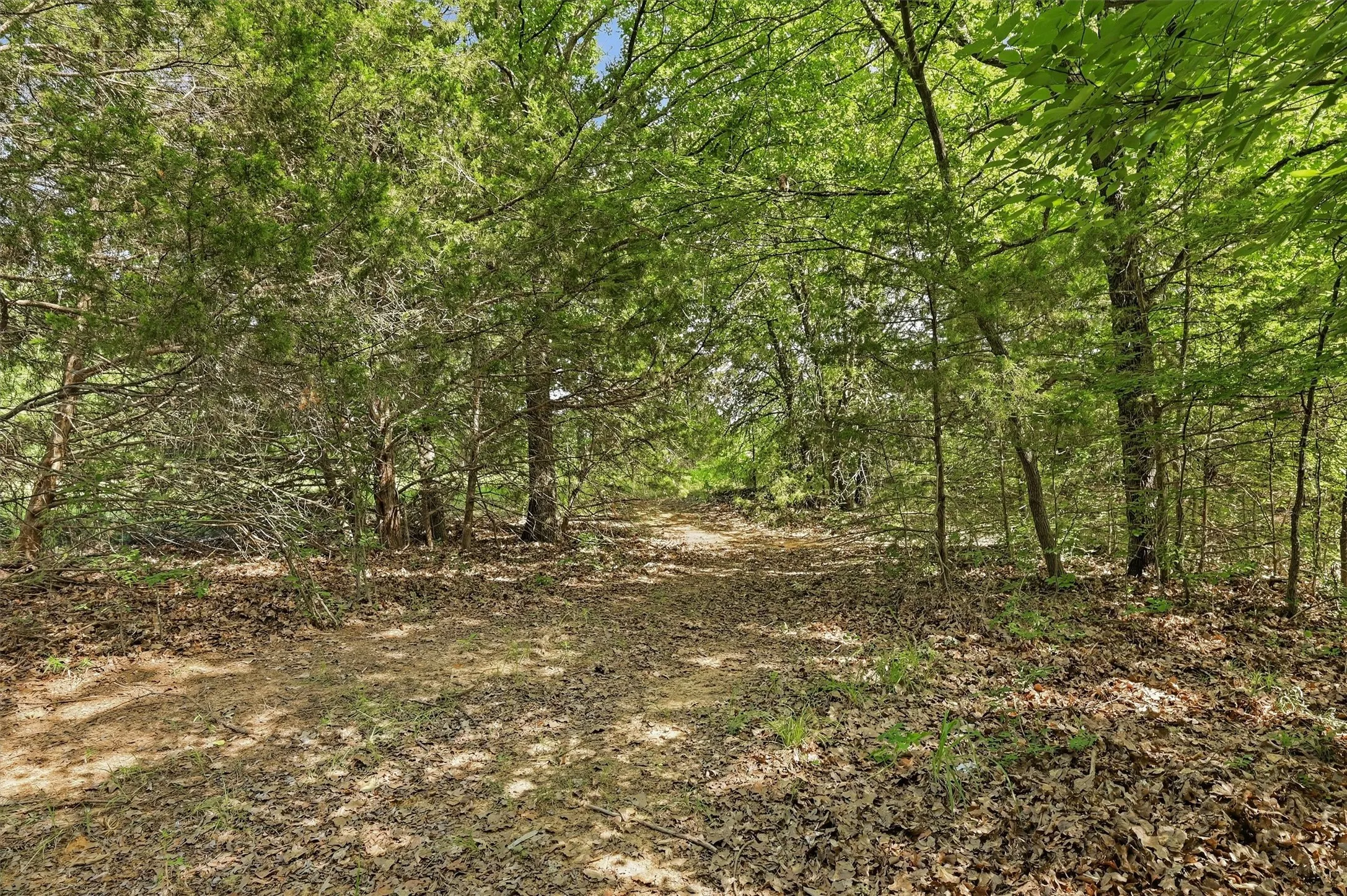 Single Family Residence For Sale in Grayson County , 7277 W Line Road, Collinsville, Texas 76233, 3 Bedroom, 2 Bathroom, 2 Garage spaces, 1,582 Sqft, built in 1998, mls#21310341, Real Estate Agent in Collinsville, Homes For Sale in Grayson county, Homes For Sale in Collinsville, Realtor in Collinsville Texas, Real Estate Brokerage Independent Realty Texas, Luminita Cordes Realtor
