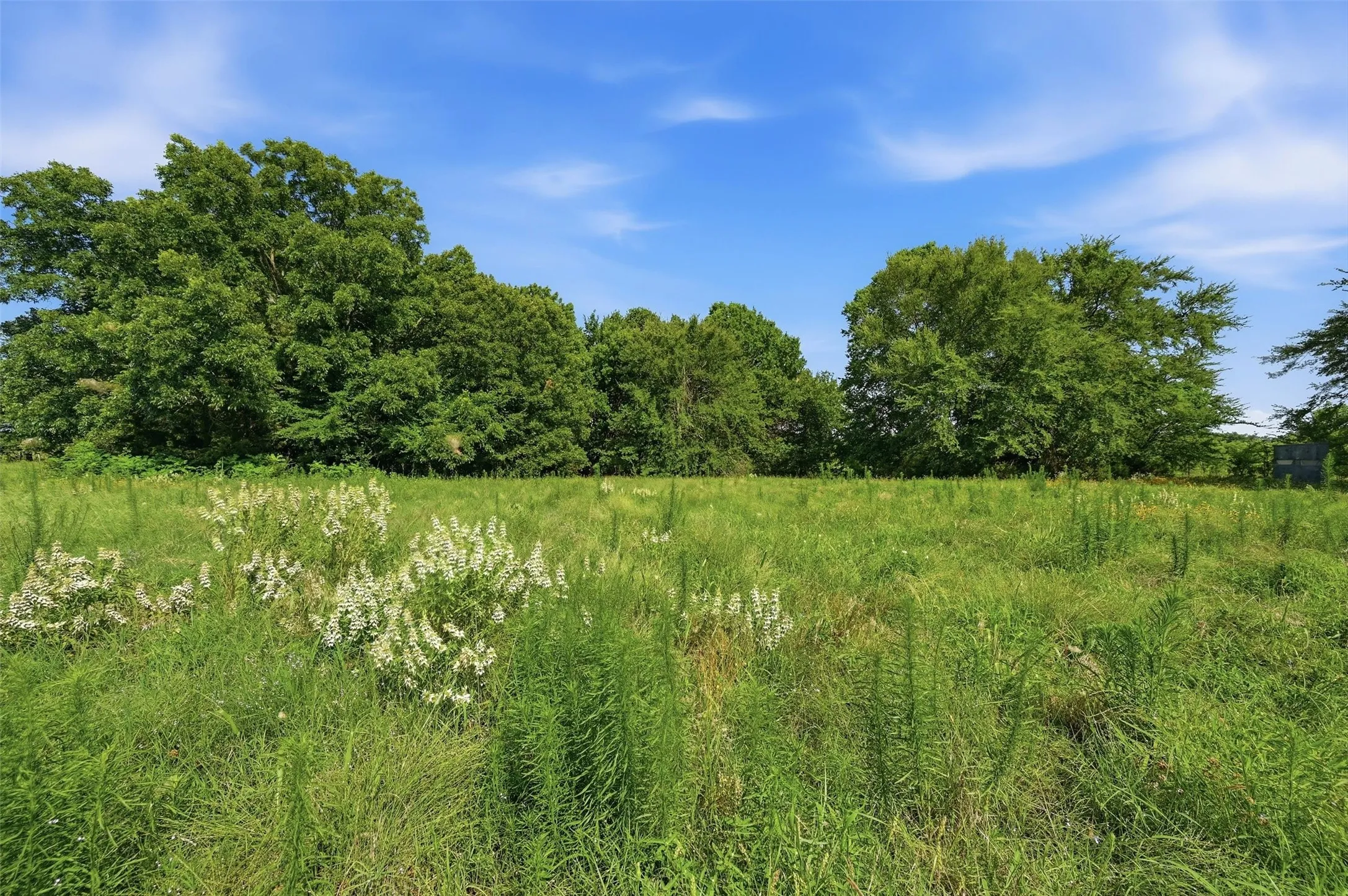 Single Family Residence For Sale in Grayson County , 7277 W Line Road, Collinsville, Texas 76233, 3 Bedroom, 2 Bathroom, 2 Garage spaces, 1,582 Sqft, built in 1998, mls#21310341, Real Estate Agent in Collinsville, Homes For Sale in Grayson county, Homes For Sale in Collinsville, Realtor in Collinsville Texas, Real Estate Brokerage Independent Realty Texas, Luminita Cordes Realtor