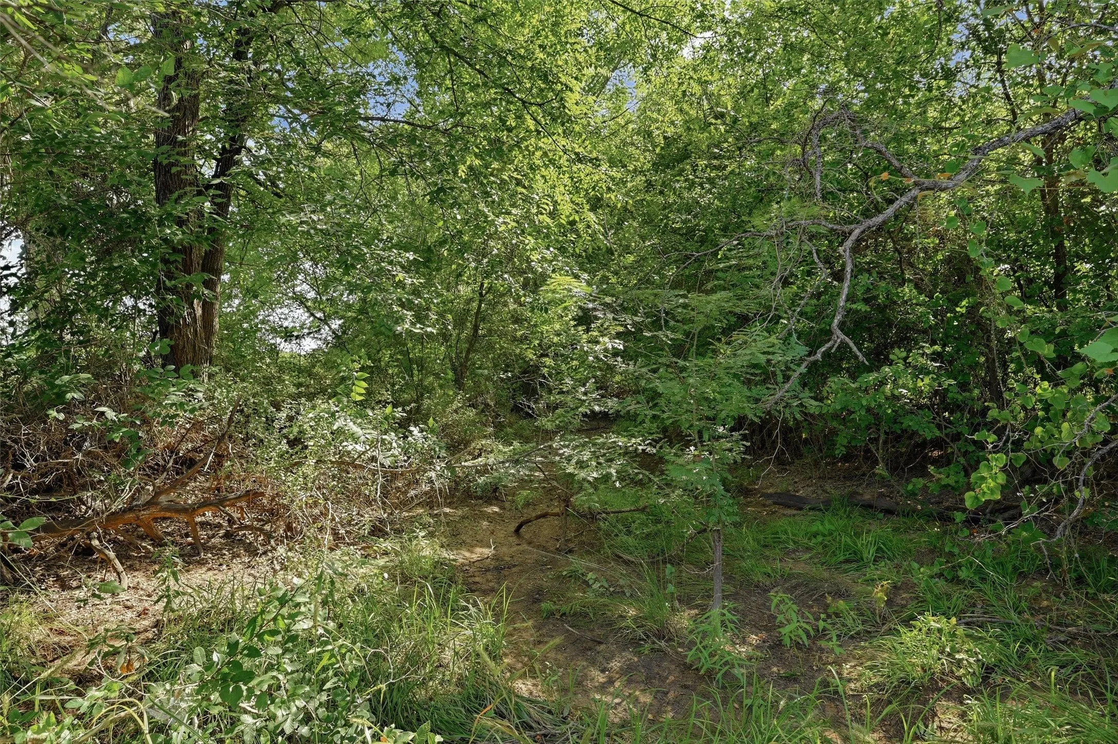 Single Family Residence For Sale in Grayson County , 7277 W Line Road, Collinsville, Texas 76233, 3 Bedroom, 2 Bathroom, 2 Garage spaces, 1,582 Sqft, built in 1998, mls#21310341, Real Estate Agent in Collinsville, Homes For Sale in Grayson county, Homes For Sale in Collinsville, Realtor in Collinsville Texas, Real Estate Brokerage Independent Realty Texas, Luminita Cordes Realtor