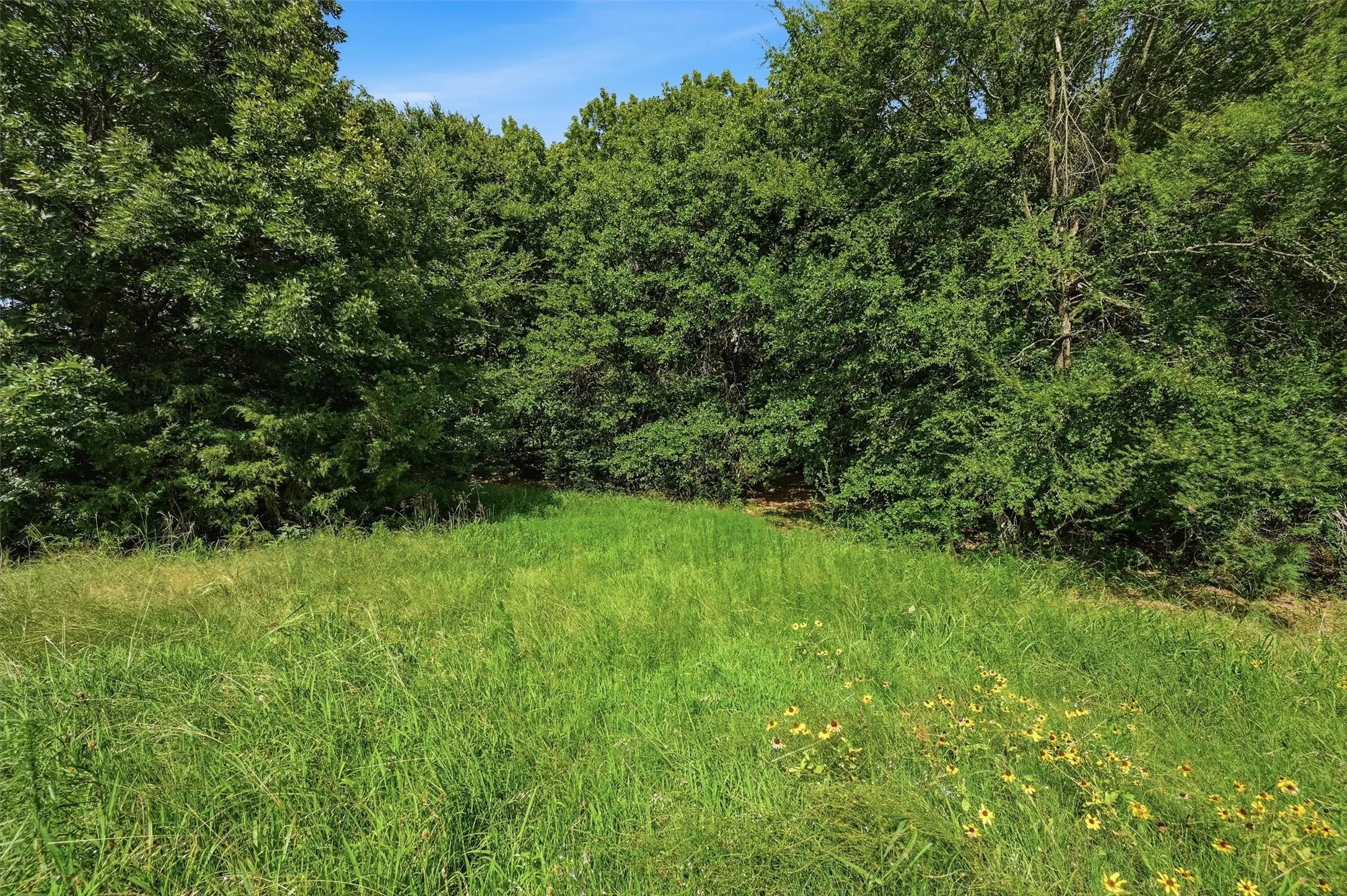Single Family Residence For Sale in Grayson County , 7277 W Line Road, Collinsville, Texas 76233, 3 Bedroom, 2 Bathroom, 2 Garage spaces, 1,582 Sqft, built in 1998, mls#21310341, Real Estate Agent in Collinsville, Homes For Sale in Grayson county, Homes For Sale in Collinsville, Realtor in Collinsville Texas, Real Estate Brokerage Independent Realty Texas, Luminita Cordes Realtor