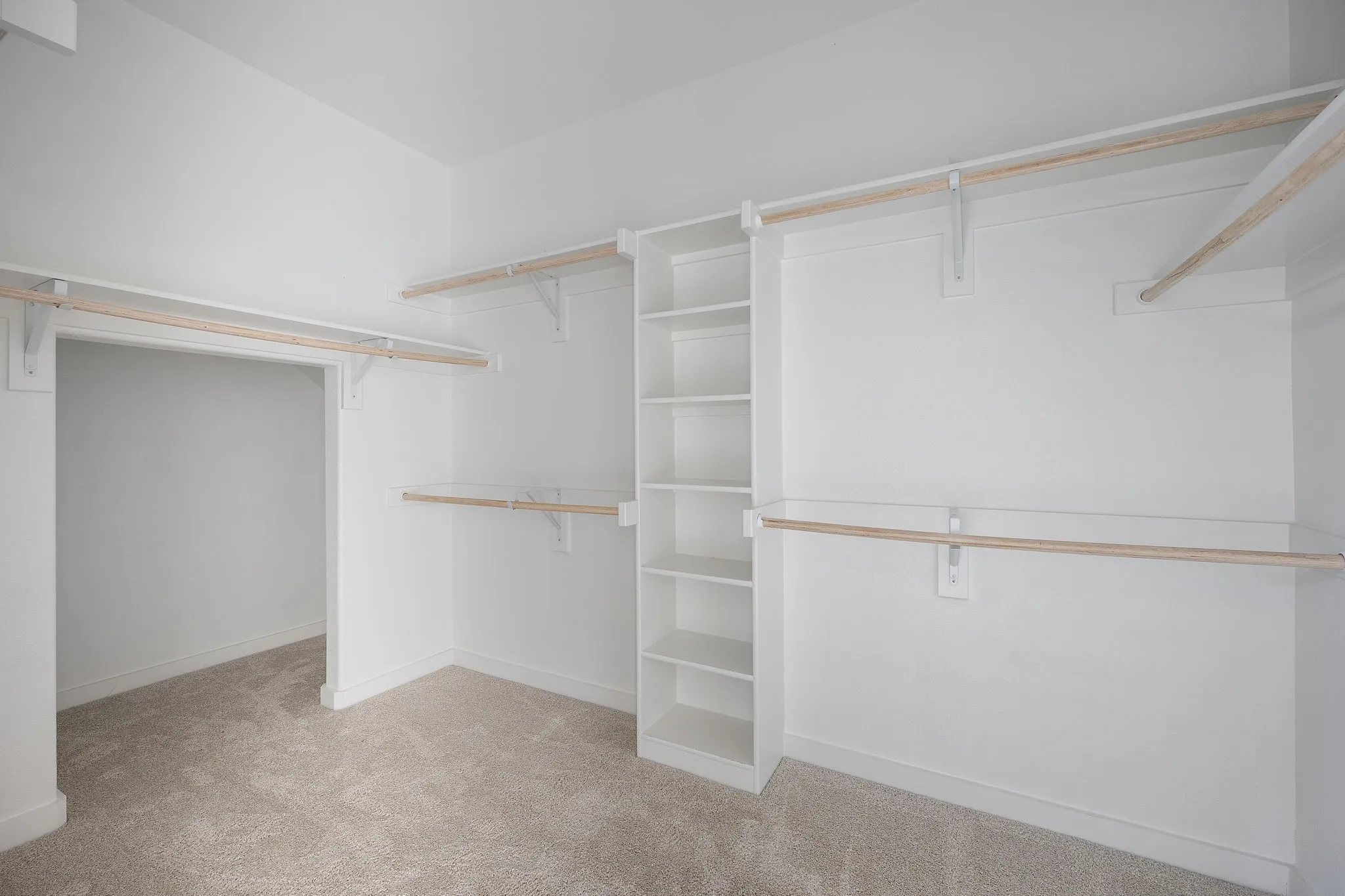 Spacious walk-in closet featuring light gray carpeting, white walls, built-in shelving, and multiple clothing rods